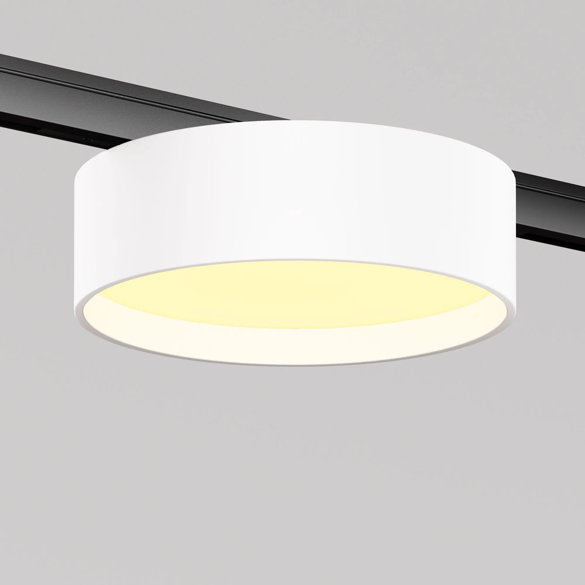 картинка Трековый светильник Technical TR189-1-12W2.7K-BW