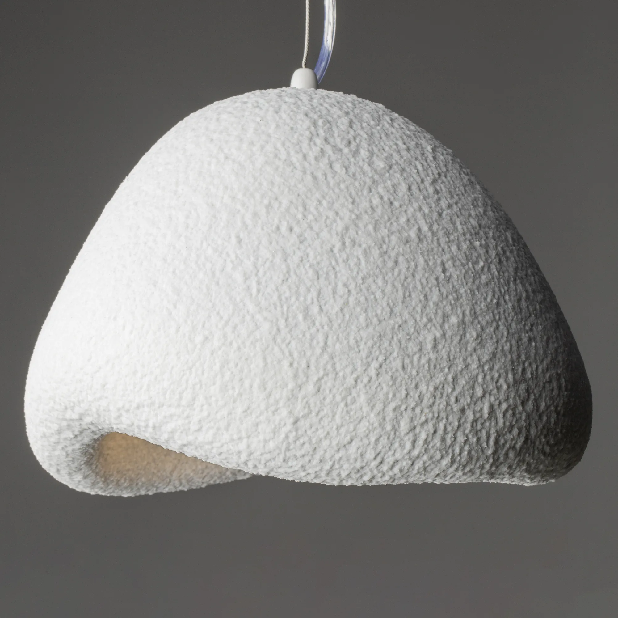 картинка Подвесной светильник Freya FR5428PL-01W