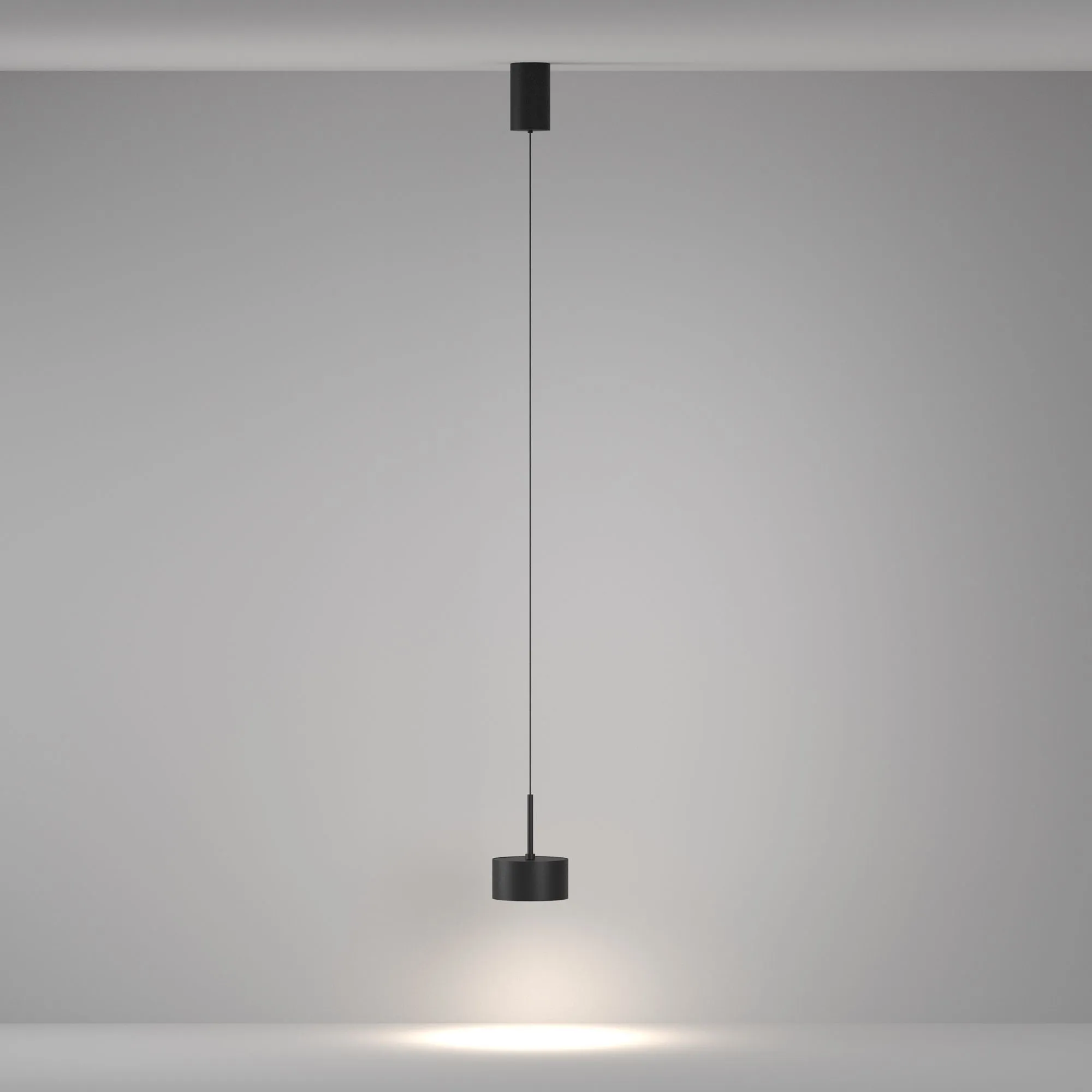 картинка Подвесной светильник Maytoni P102PL-12W4K-B