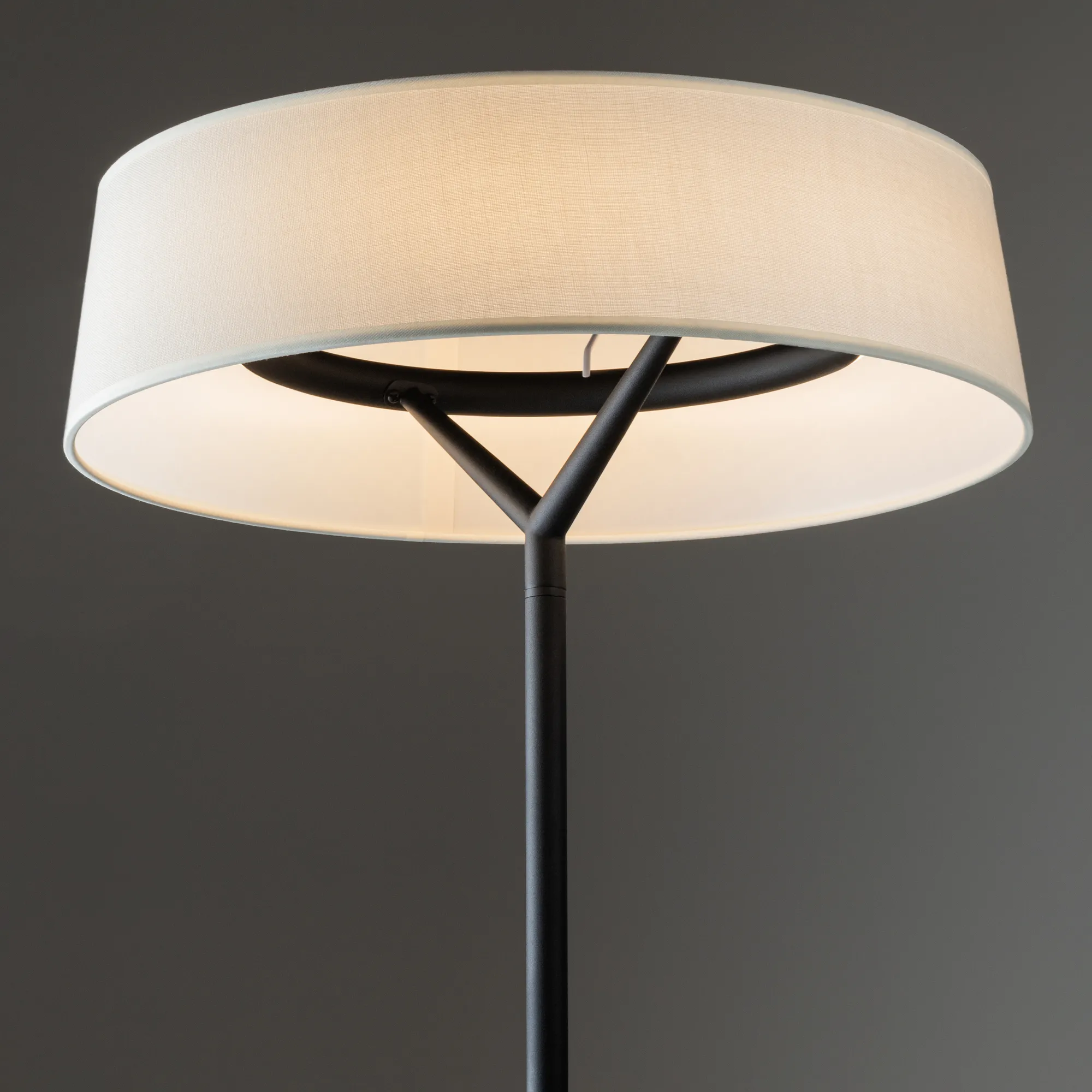 картинка Напольный светильник (торшер) Freya FR6132FL-L15B