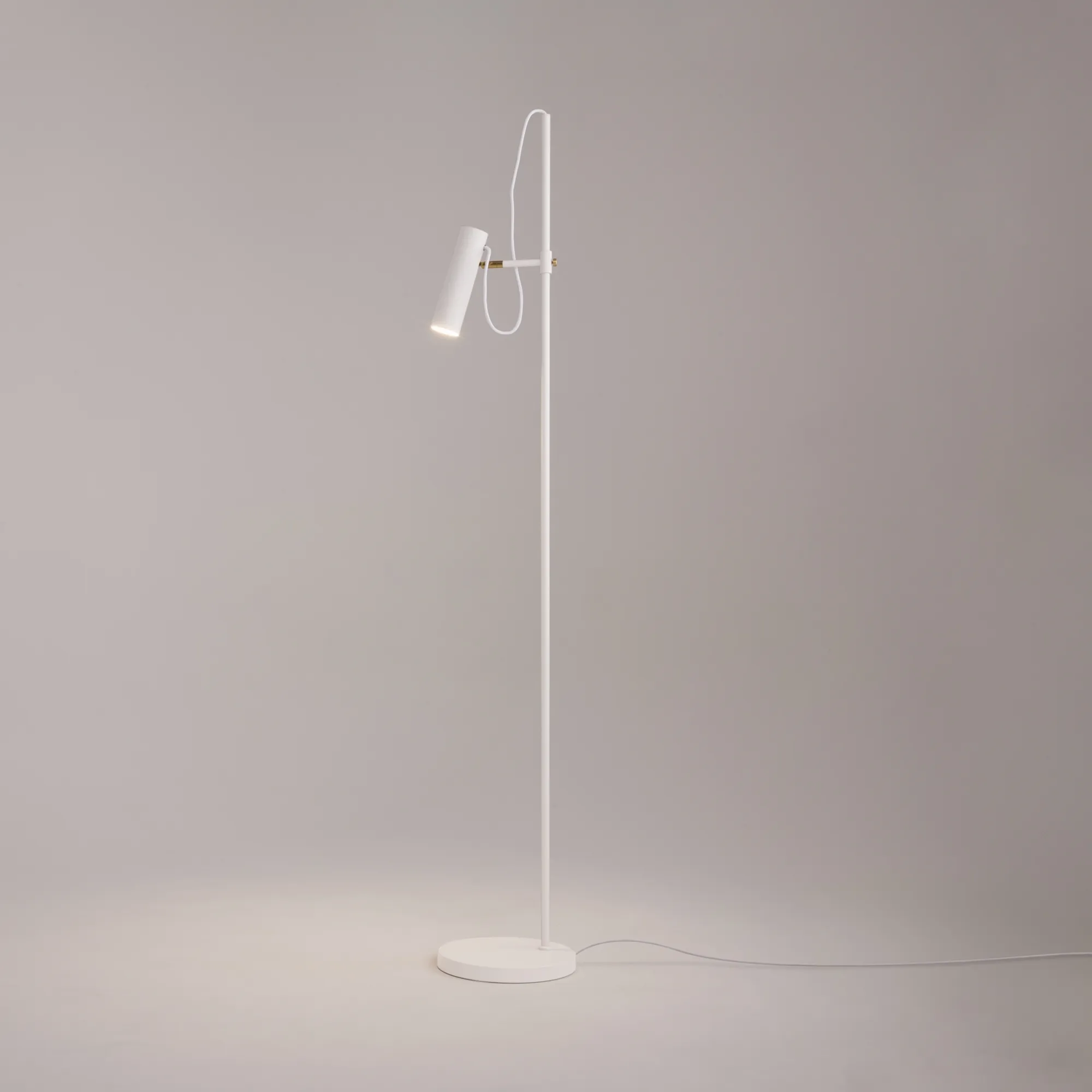 картинка Напольный светильник (торшер) Maytoni MOD129FL-01W