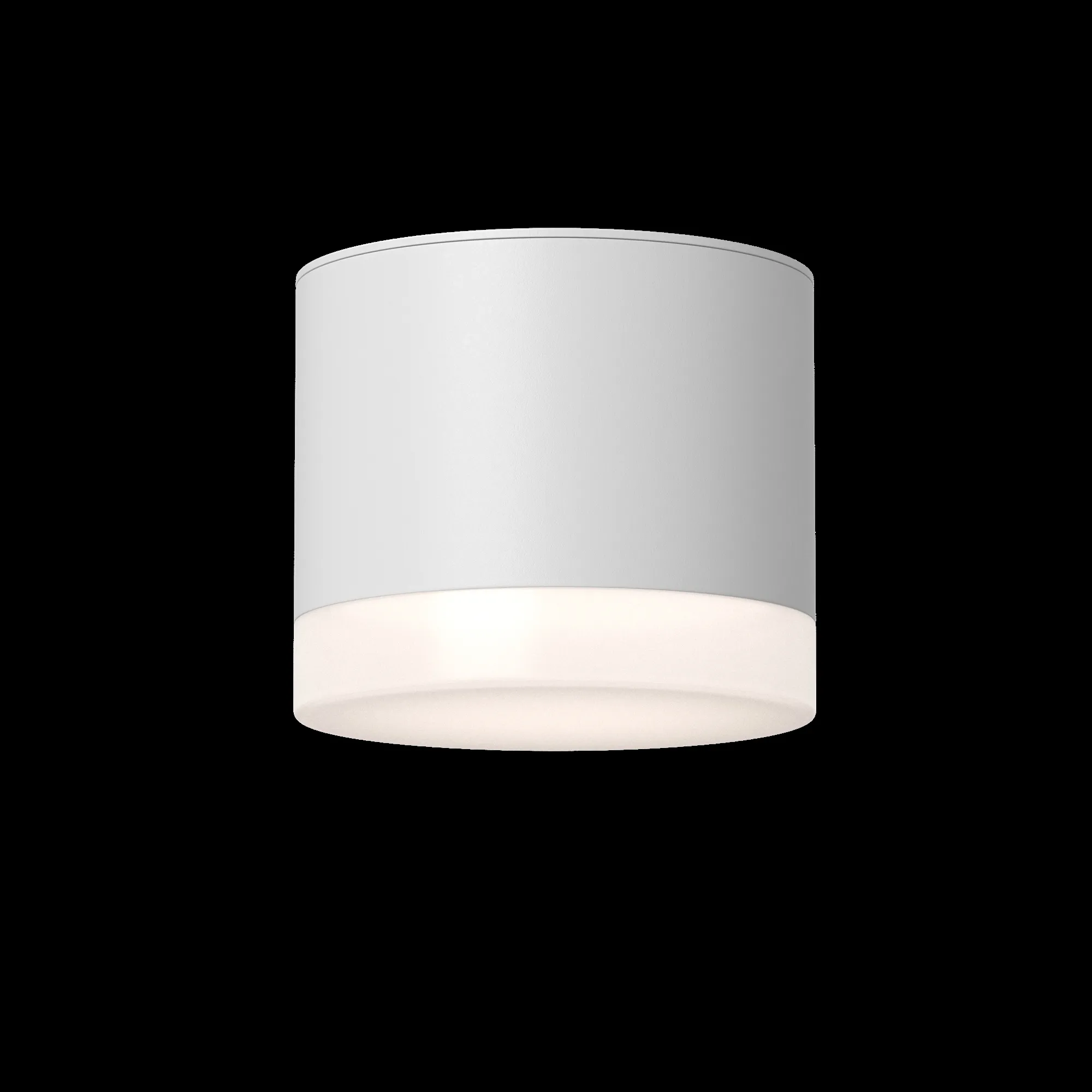 картинка Потолочный светильник Technical C087CL-GX53-W