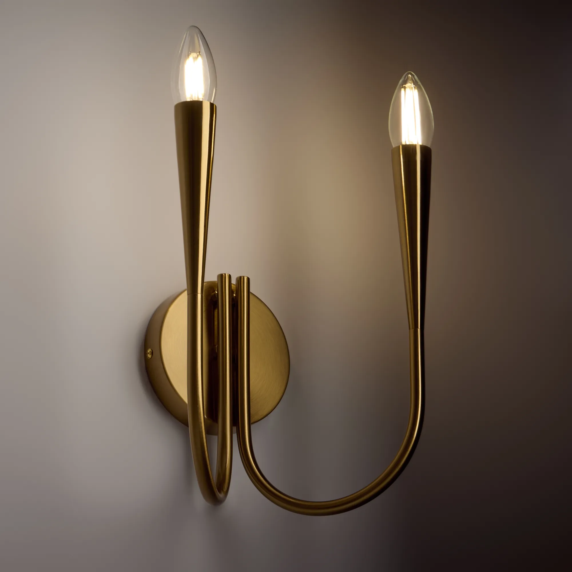 картинка Настенный светильник (бра) Freya FR5253WL-02BS