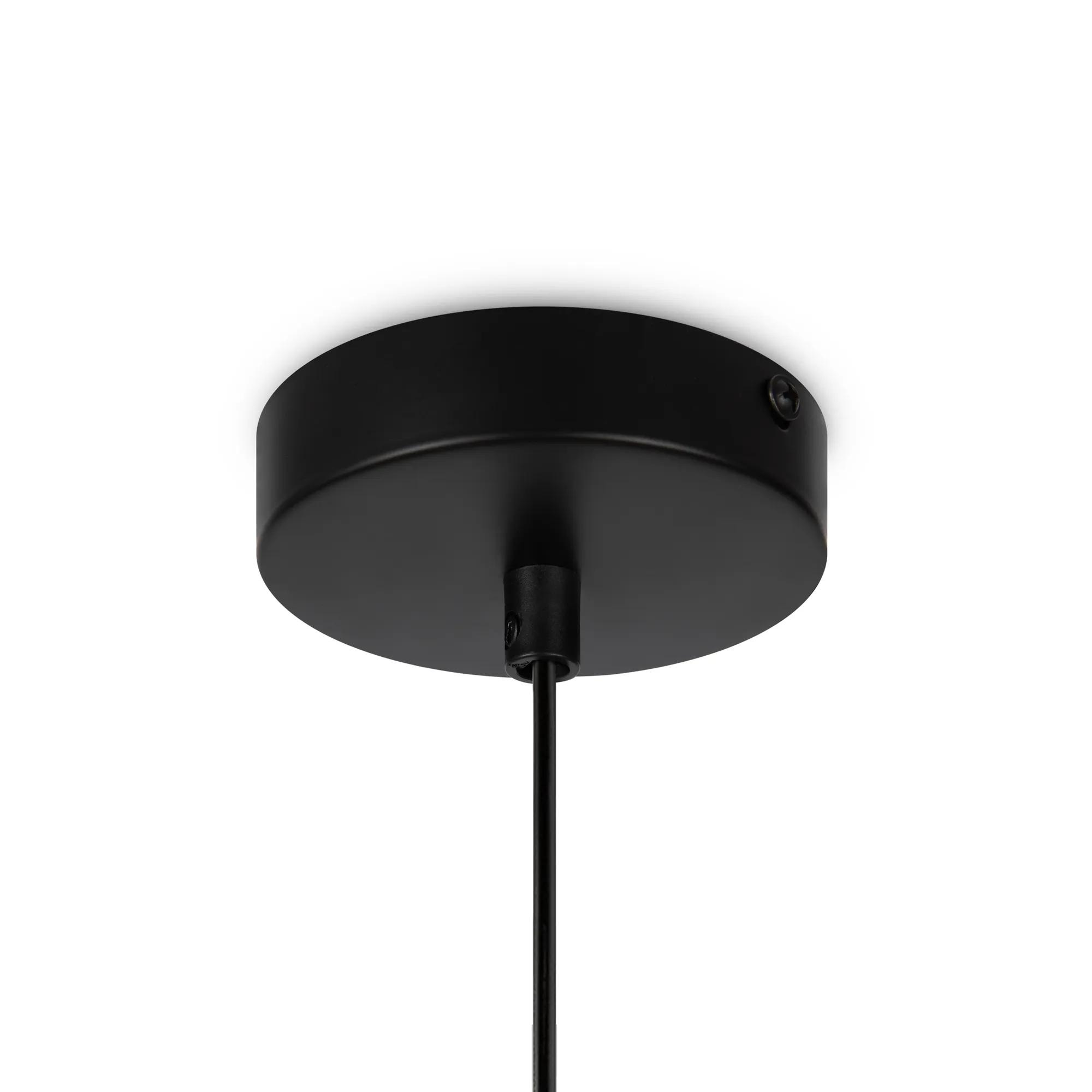 картинка Подвесной светильник Freya FR8011PL-01N