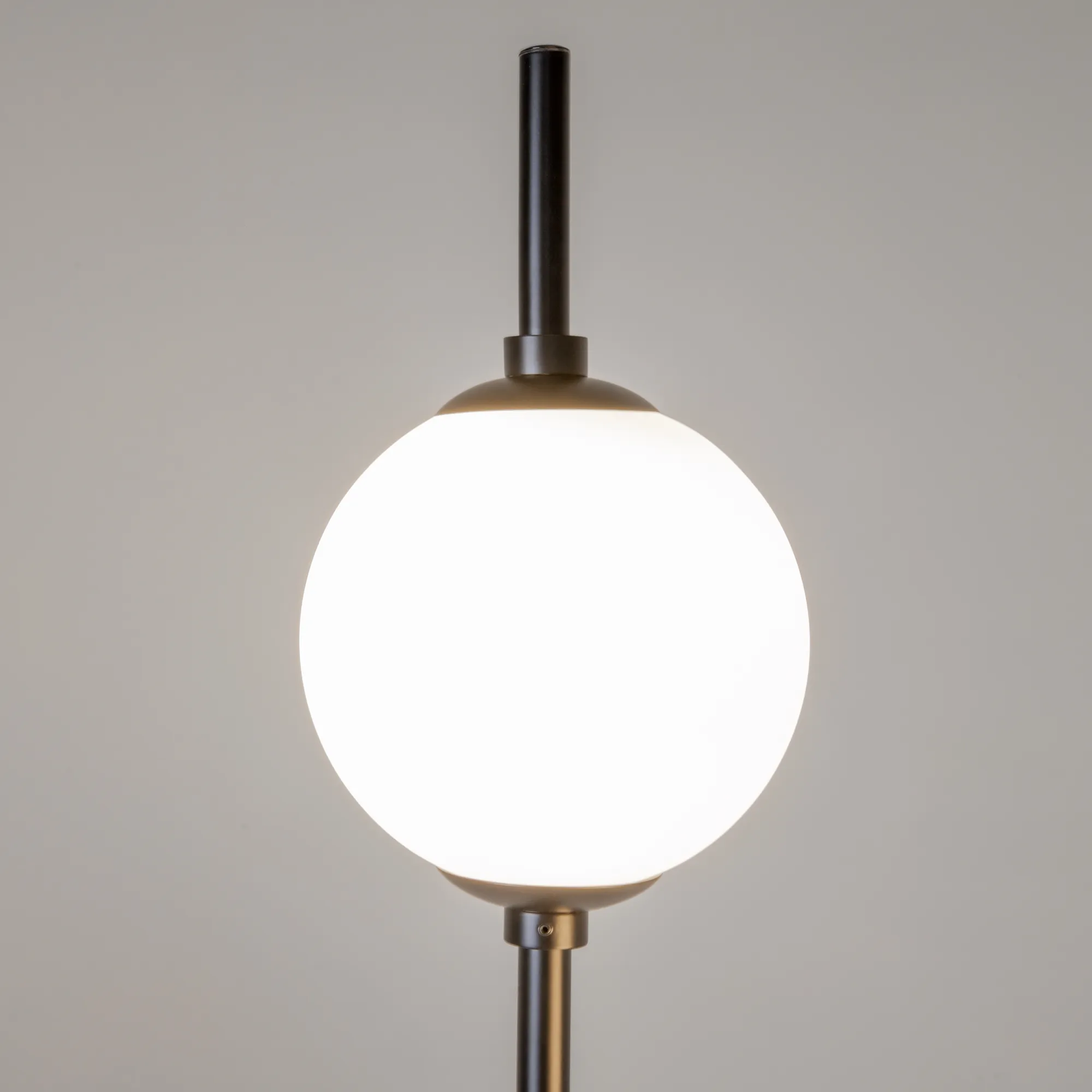 картинка Напольный светильник (торшер) Maytoni Z020FL-L12BK