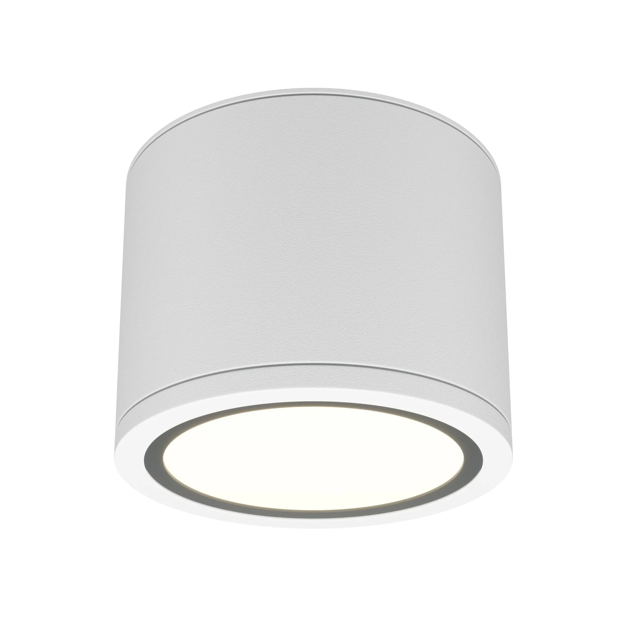 картинка Потолочный светильник Technical C095CL-GX53-W