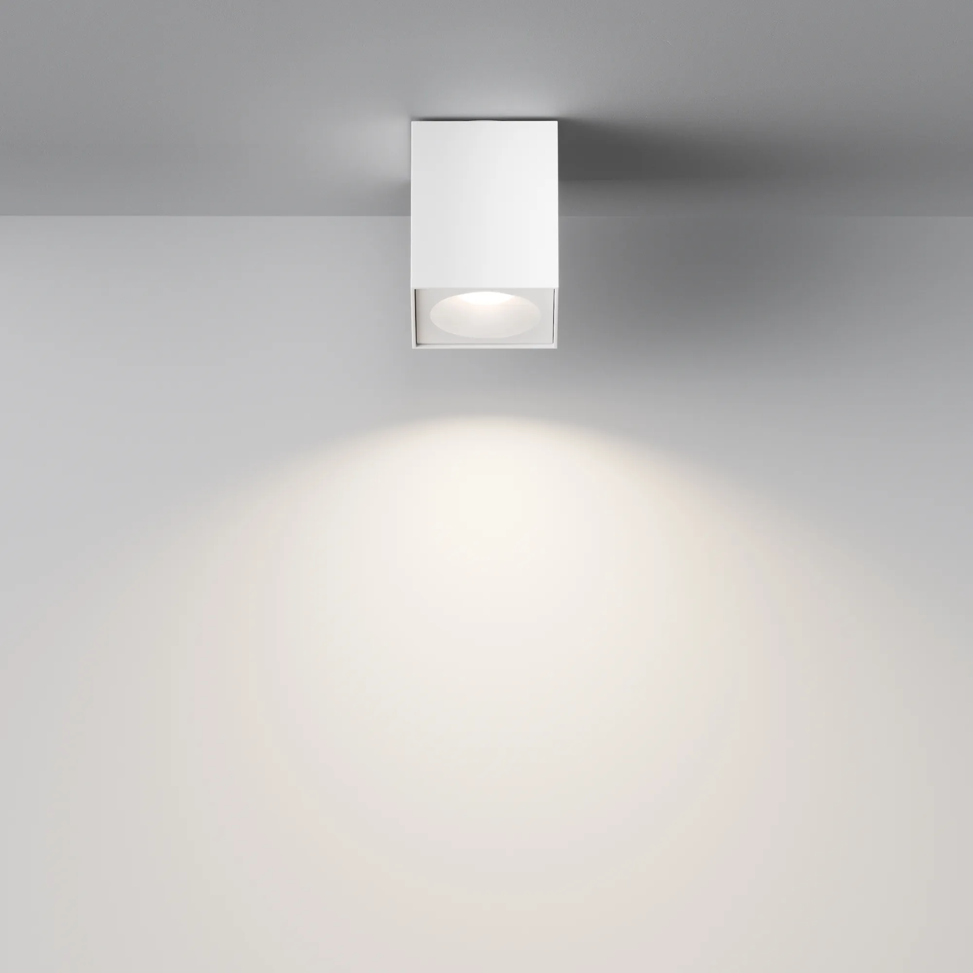 картинка Потолочный светильник Technical C030CL-01W