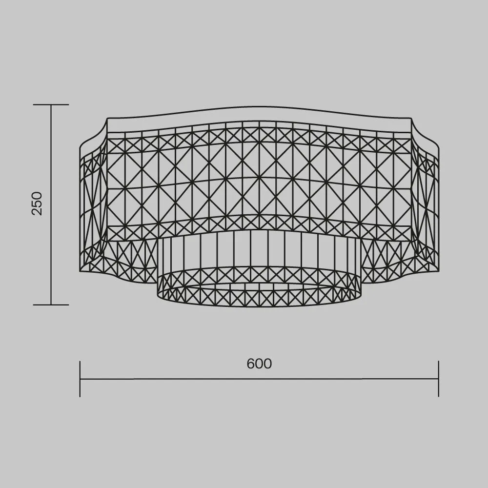 картинка Потолочный светильник Maytoni DIA005CL-10G