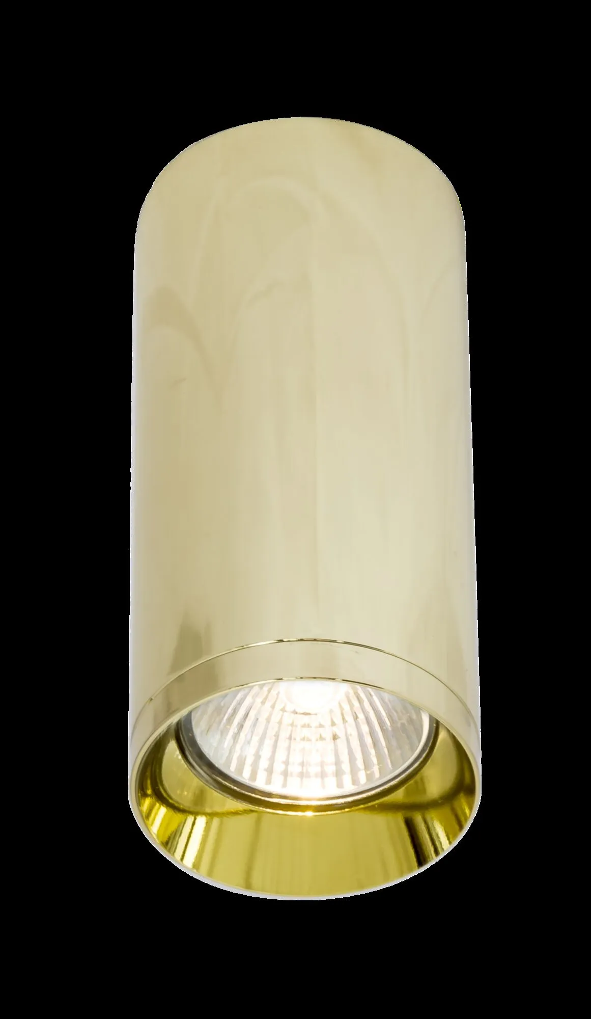 картинка Потолочный светильник Technical C010CL-01G