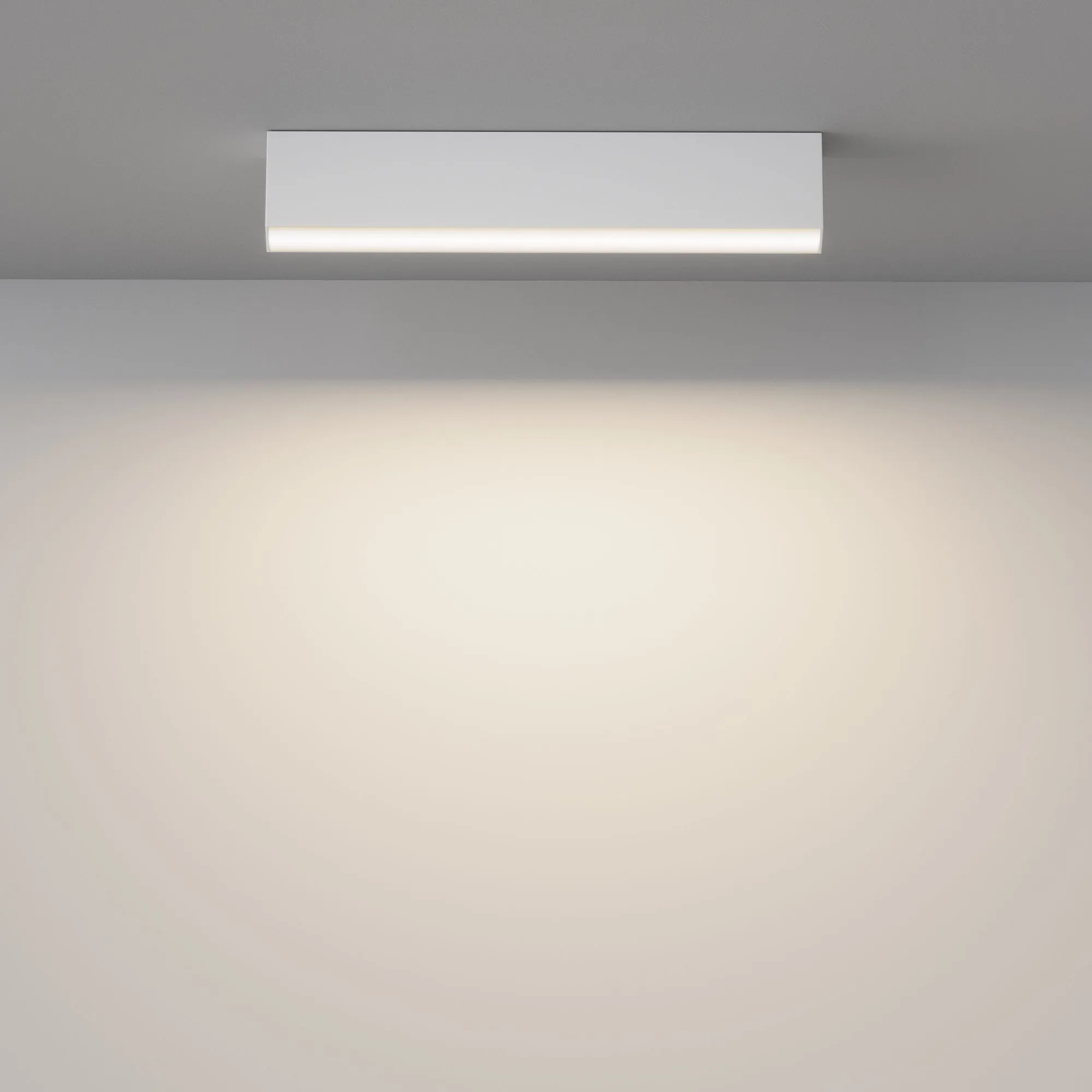 картинка Потолочный светильник Technical C068CL-20W3-6K-W