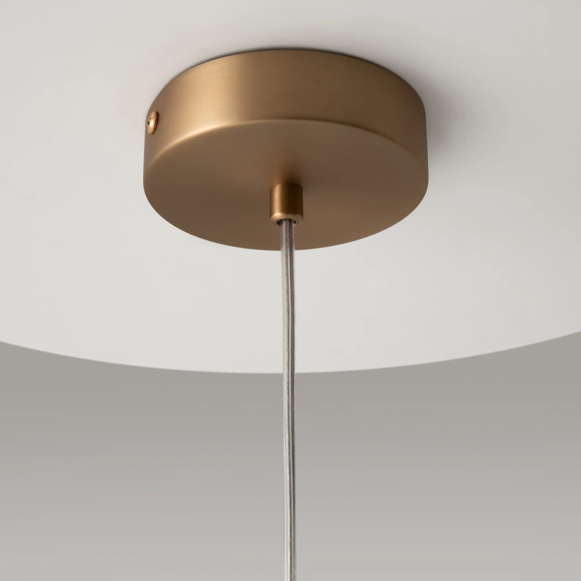 картинка Подвесной светильник Maytoni MOD113PL-01W