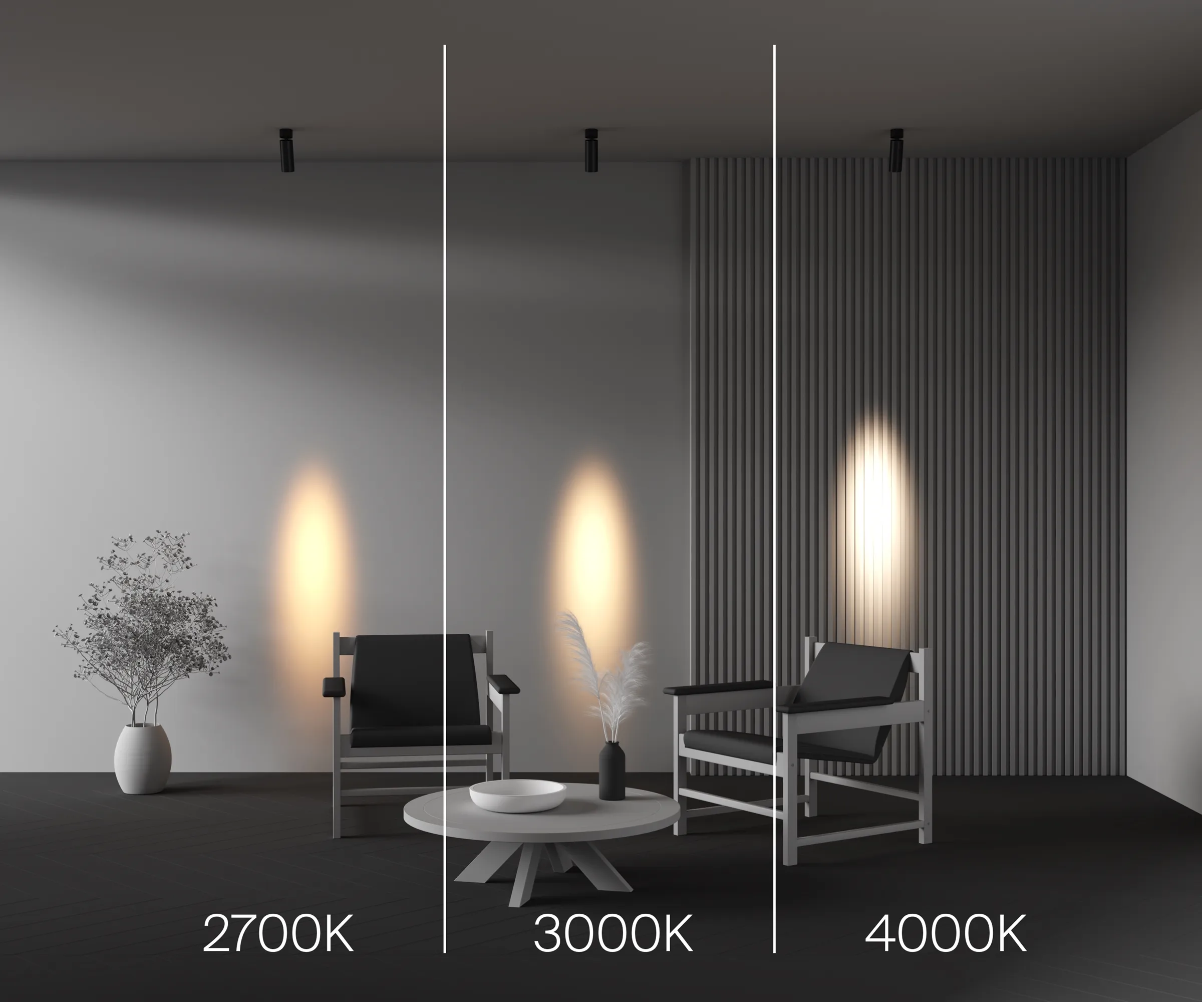 картинка Потолочный светильник Technical C055CL-L12W2.7K-SS-B