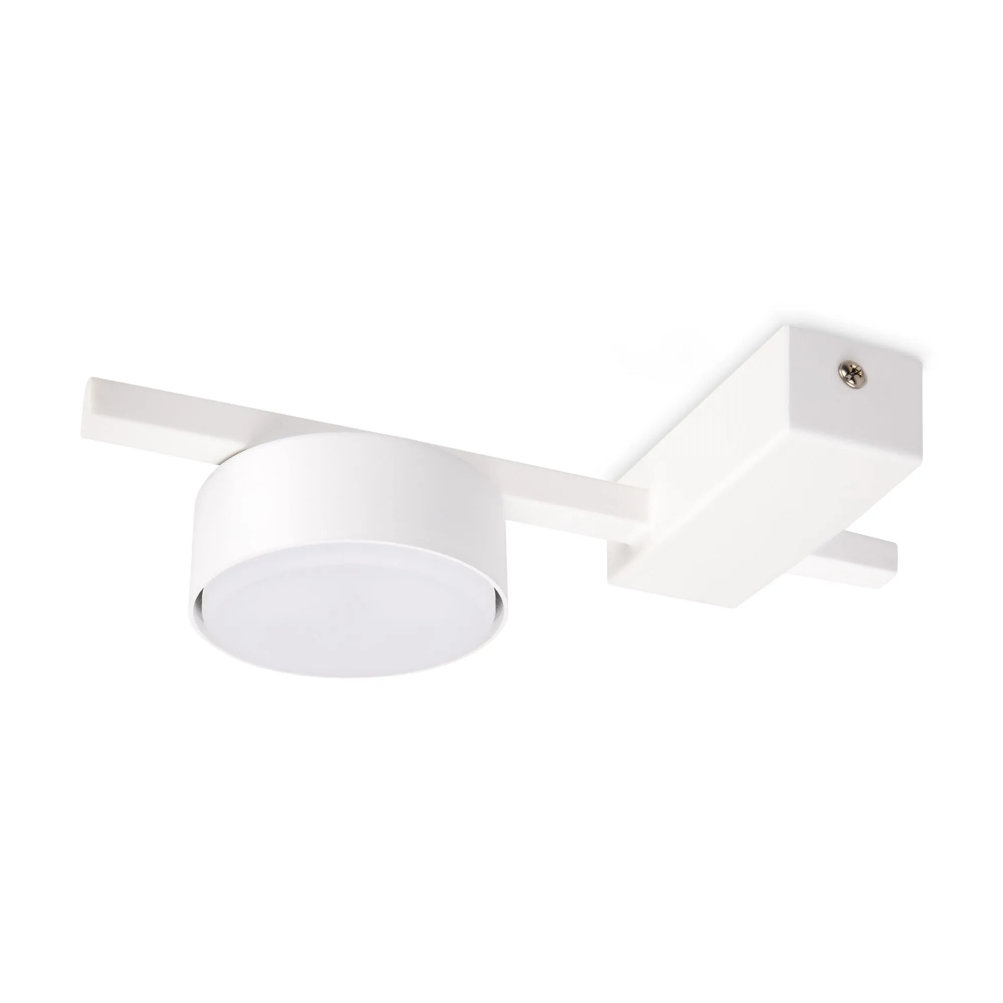 картинка Потолочный светильник Freya FR5363CL-01W