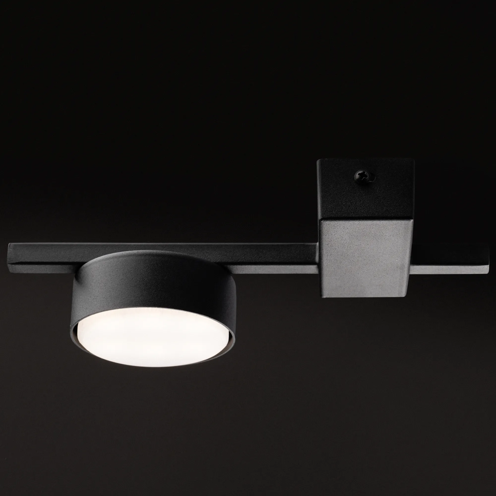 картинка Потолочный светильник Freya FR5363CL-01B