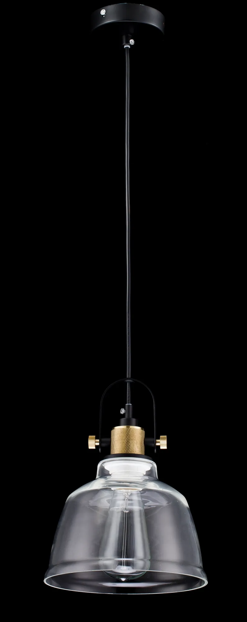 картинка Подвесной светильник Maytoni T163-11-W