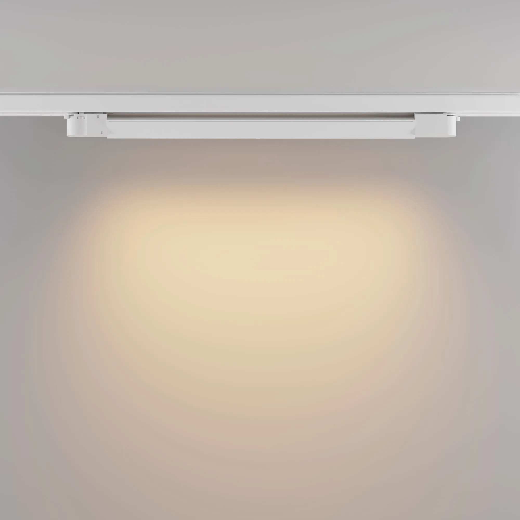 картинка Трековый светильник Technical TR196-3-20W2.7K-W