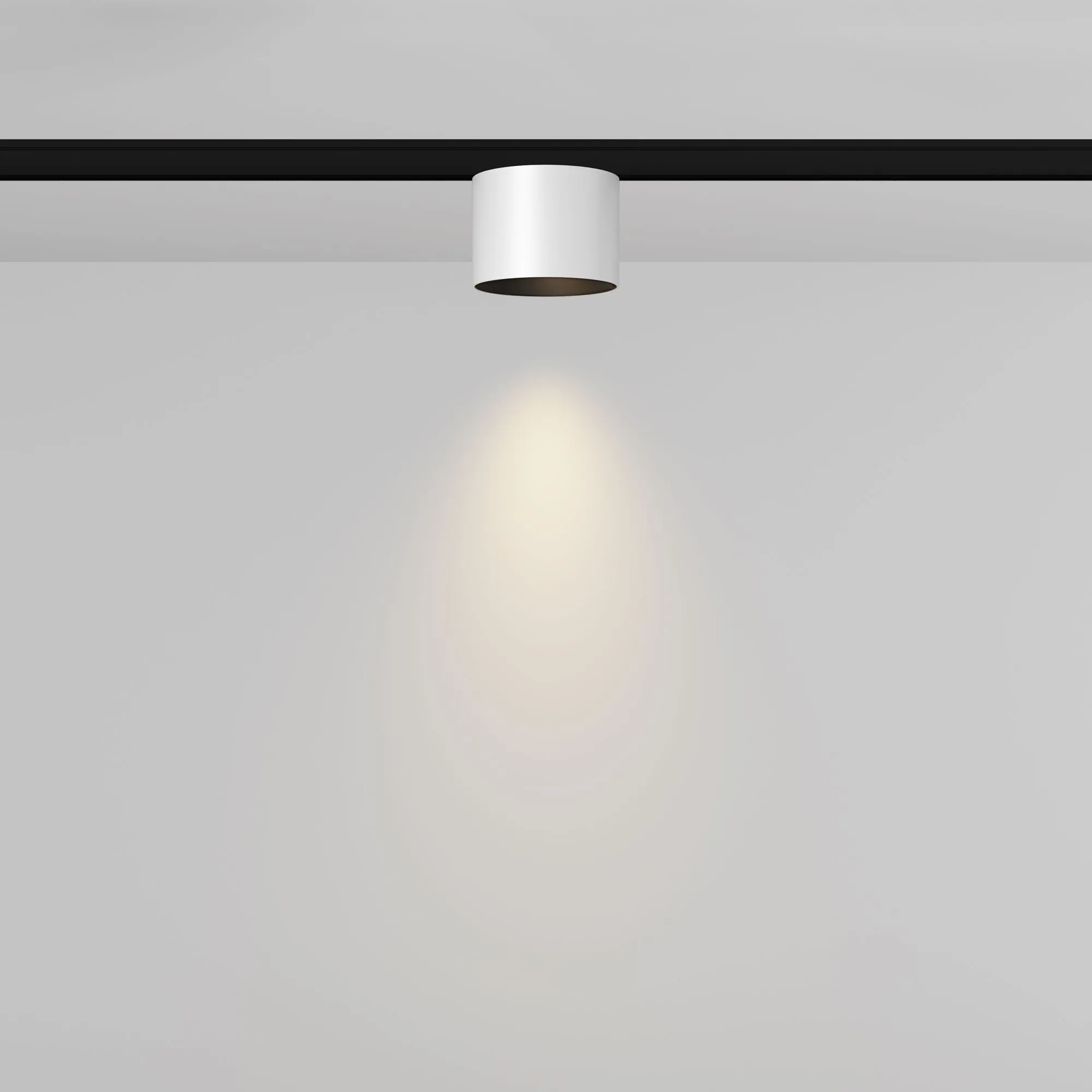 картинка Трековый светильник Technical TR188-1-5W3K-M-BW