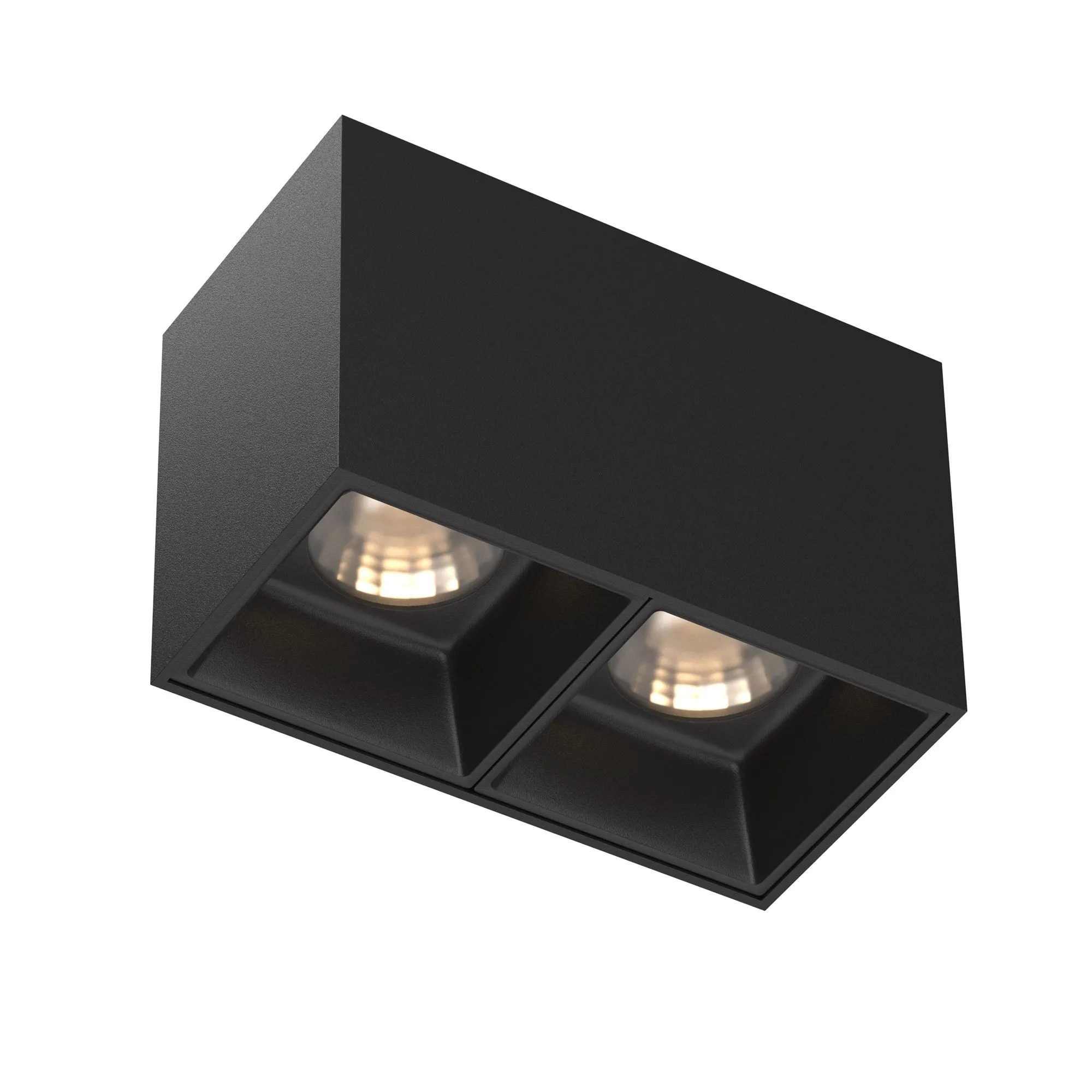 картинка Потолочный светильник Technical C065CL-02-L12W3K-B