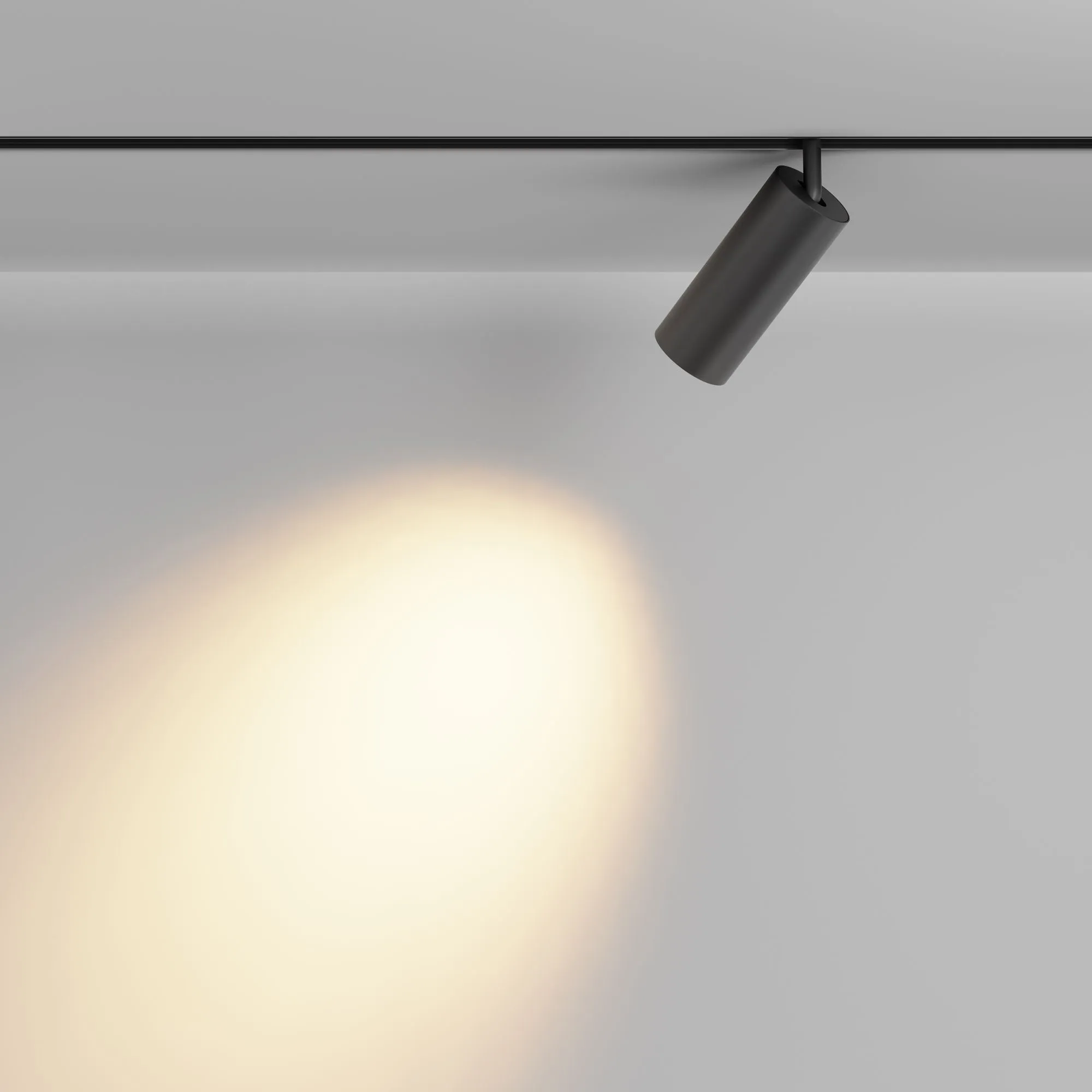 картинка Трековый светильник Technical TR032-2-20W2.7K-M-B