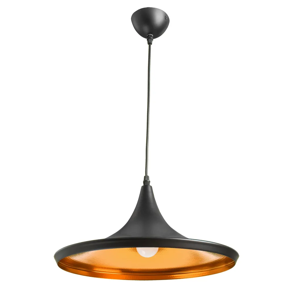 картинка Подвесной светильник Arte Lamp CAPPELLO A3406SP-1BK