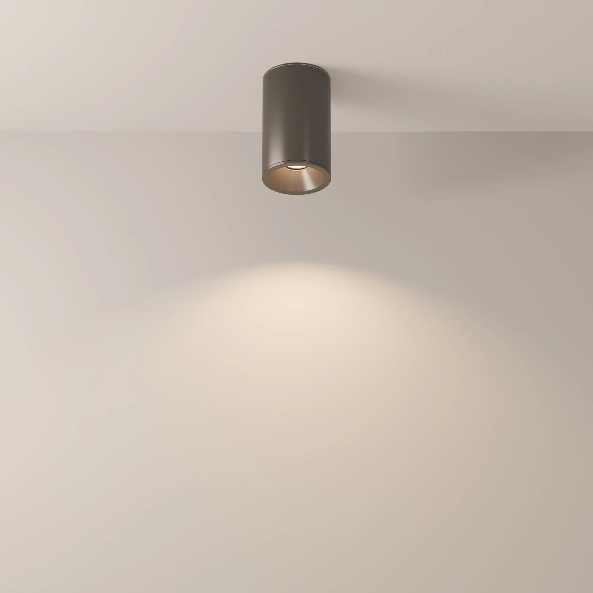картинка Потолочный светильник Technical C029CL-01-S-B