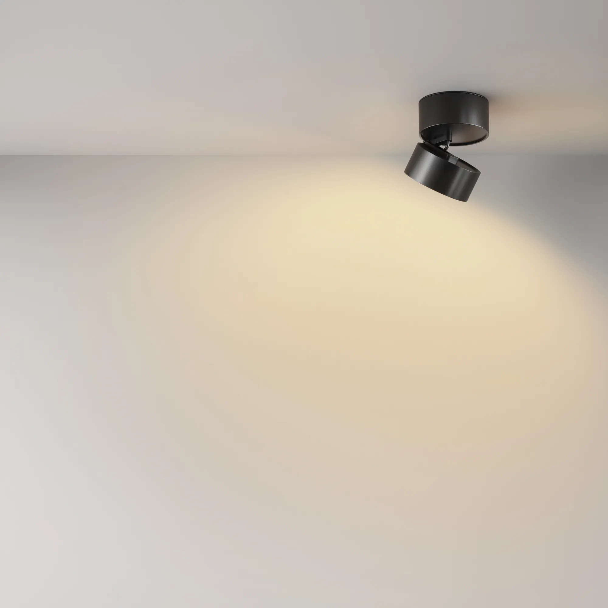 картинка Потолочный светильник Technical C024CL-12W2.7K-B-1