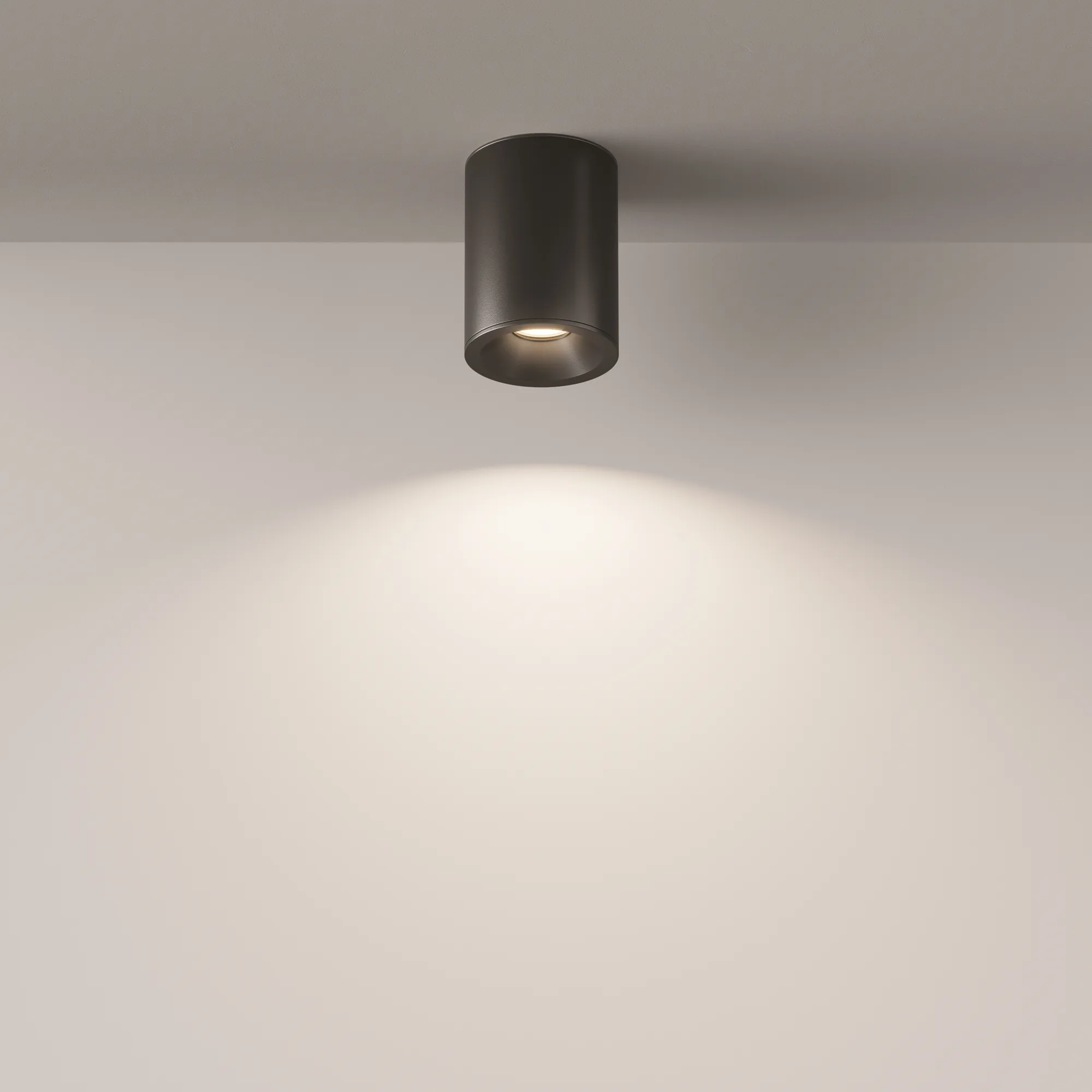 картинка Потолочный светильник Technical C029CL-01B