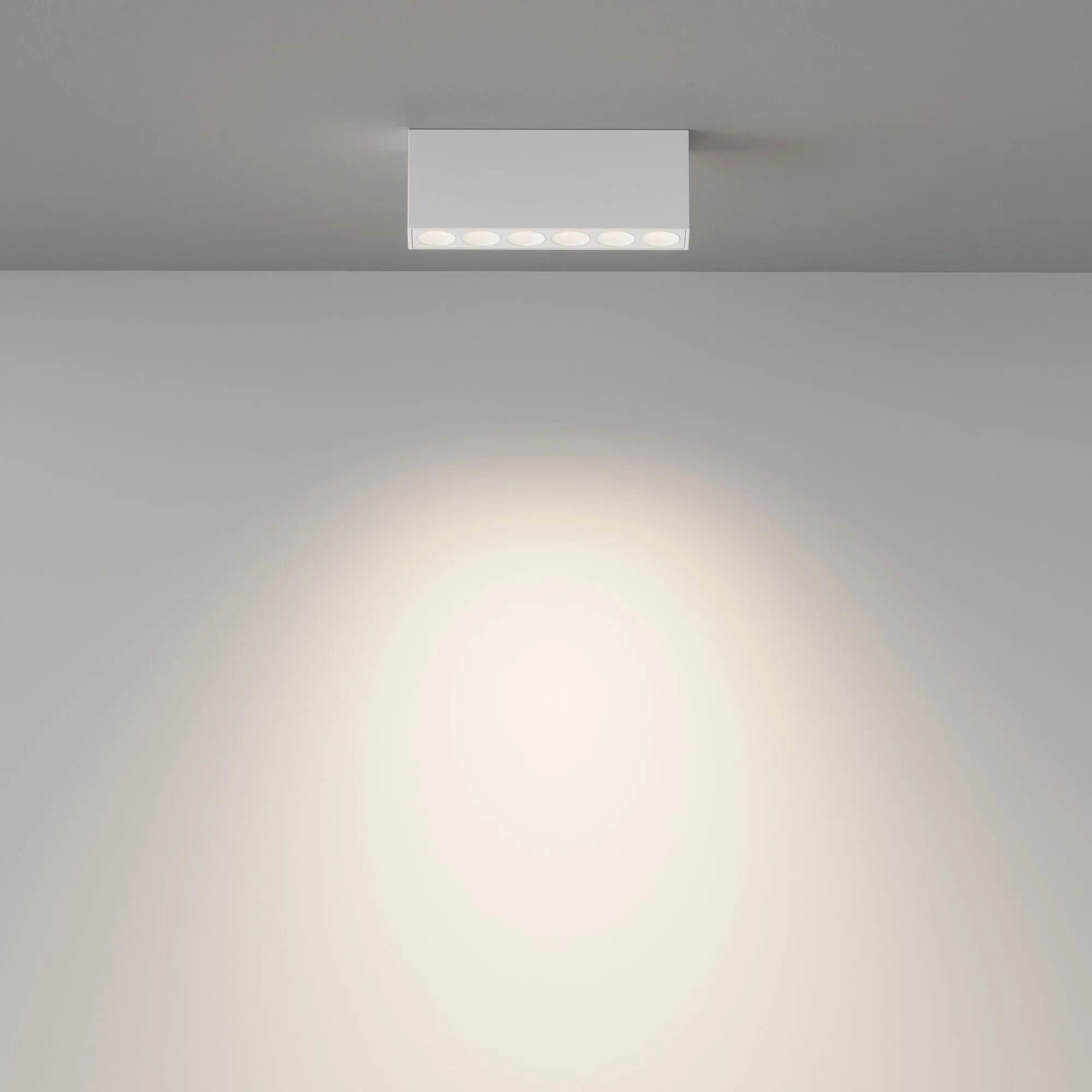 картинка Потолочный светильник Technical C066CL-12W3-6K-W