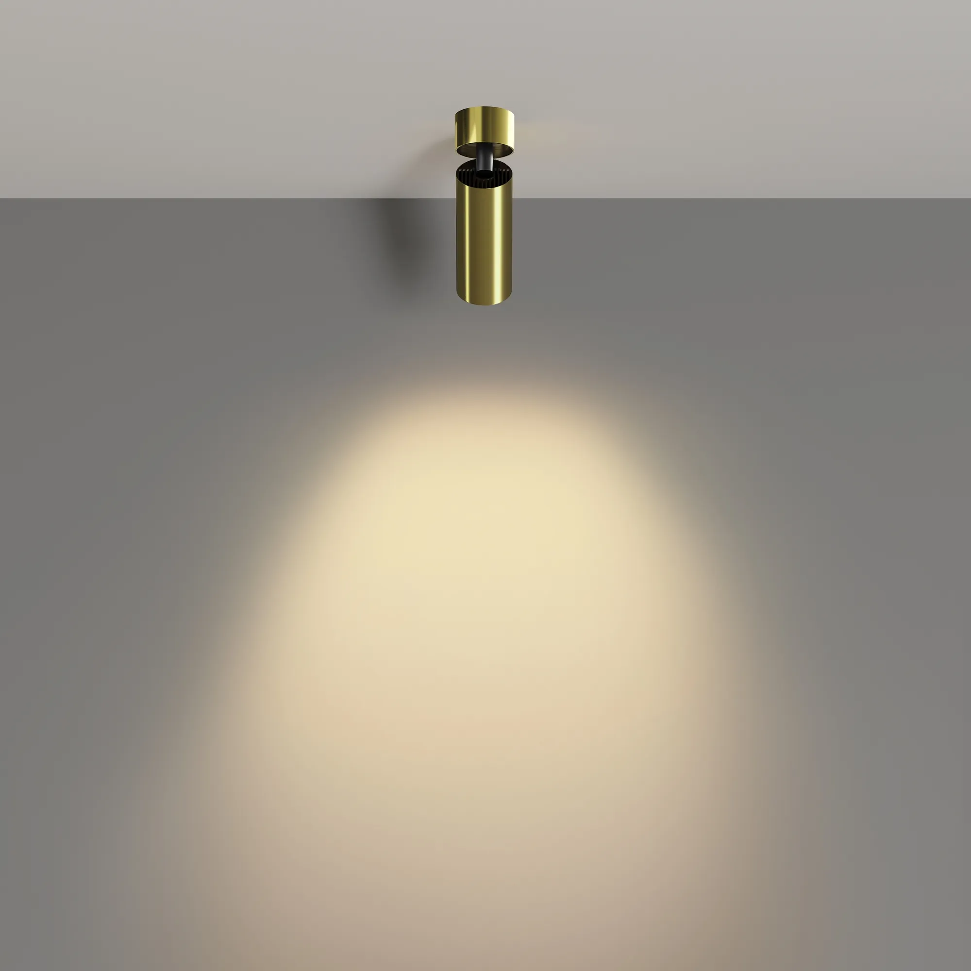 картинка Потолочный светильник Technical C055CL-L12W2.7K-W-BS