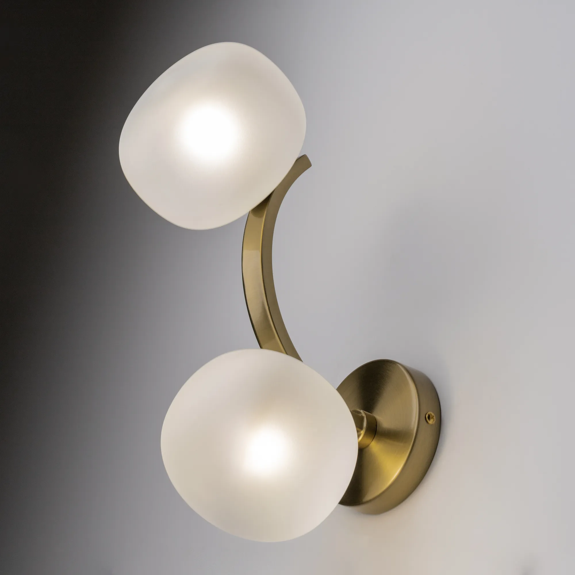 картинка Настенный светильник (бра) Freya FR5444WL-02BS