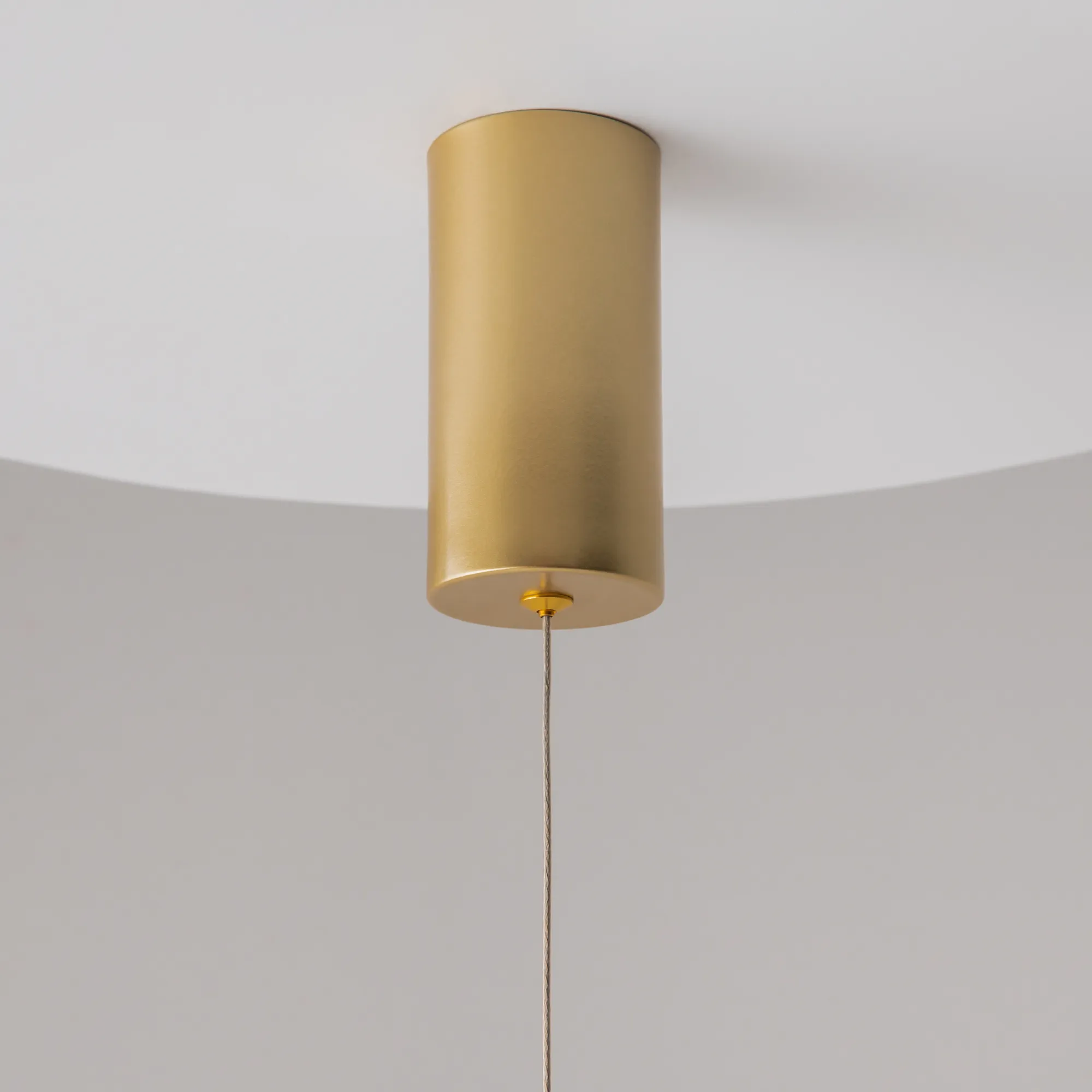 картинка Подвесной светильник Technical P022PL-L20G3K