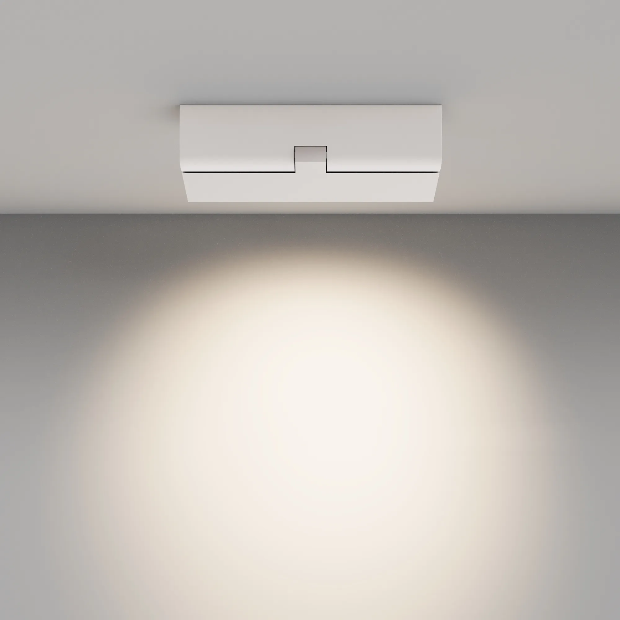 картинка Потолочный светильник Technical C136CL-12W4K-W