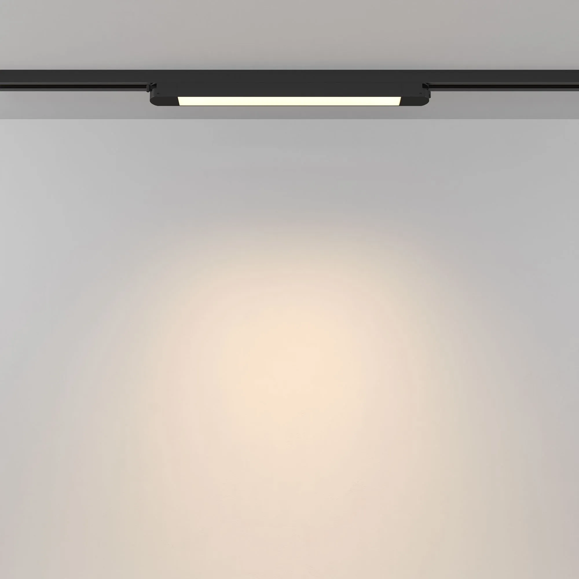 картинка Трековый светильник Technical TR000-1-12W3K-B_1