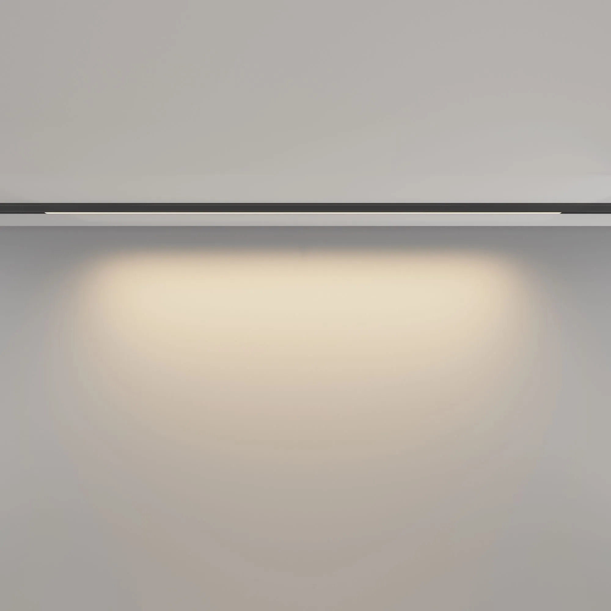 картинка Трековый светильник Technical TR190-1-15W3K-B