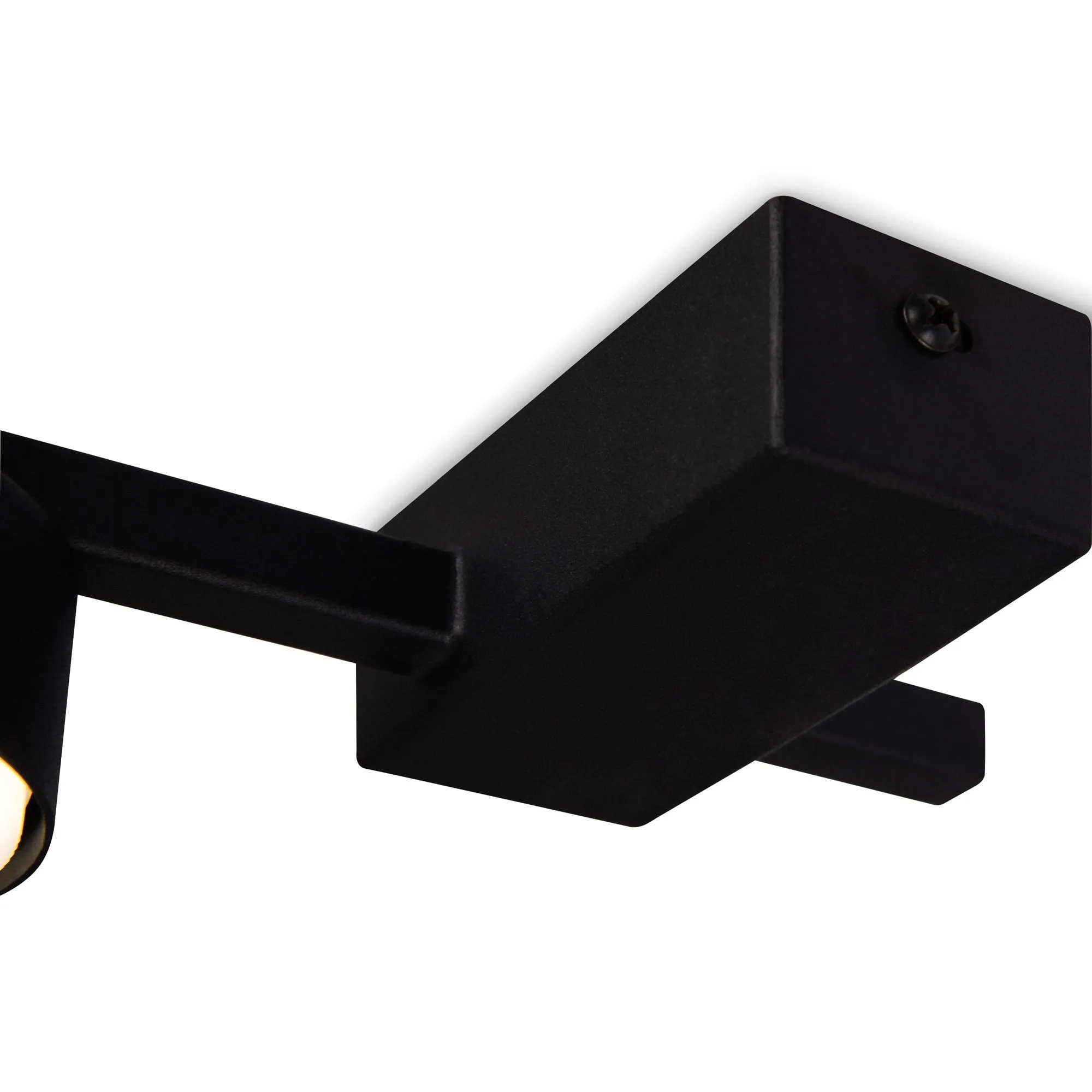 картинка Потолочный светильник Freya FR5363CL-01B