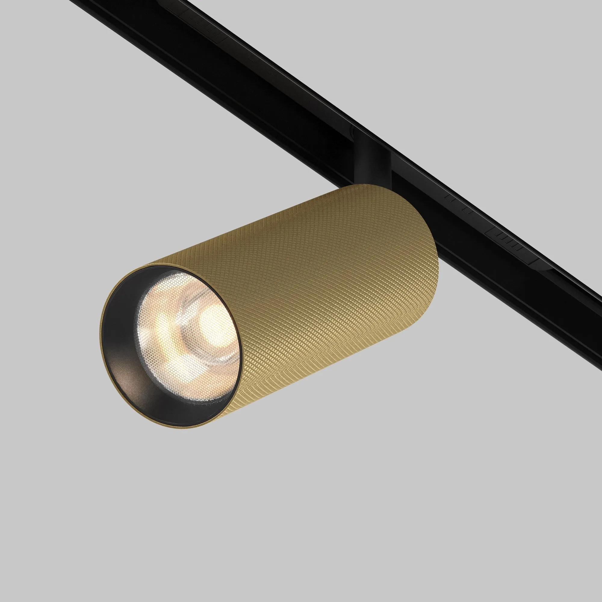 картинка Трековый светильник Technical TR097-2-12W3K-M-BMG