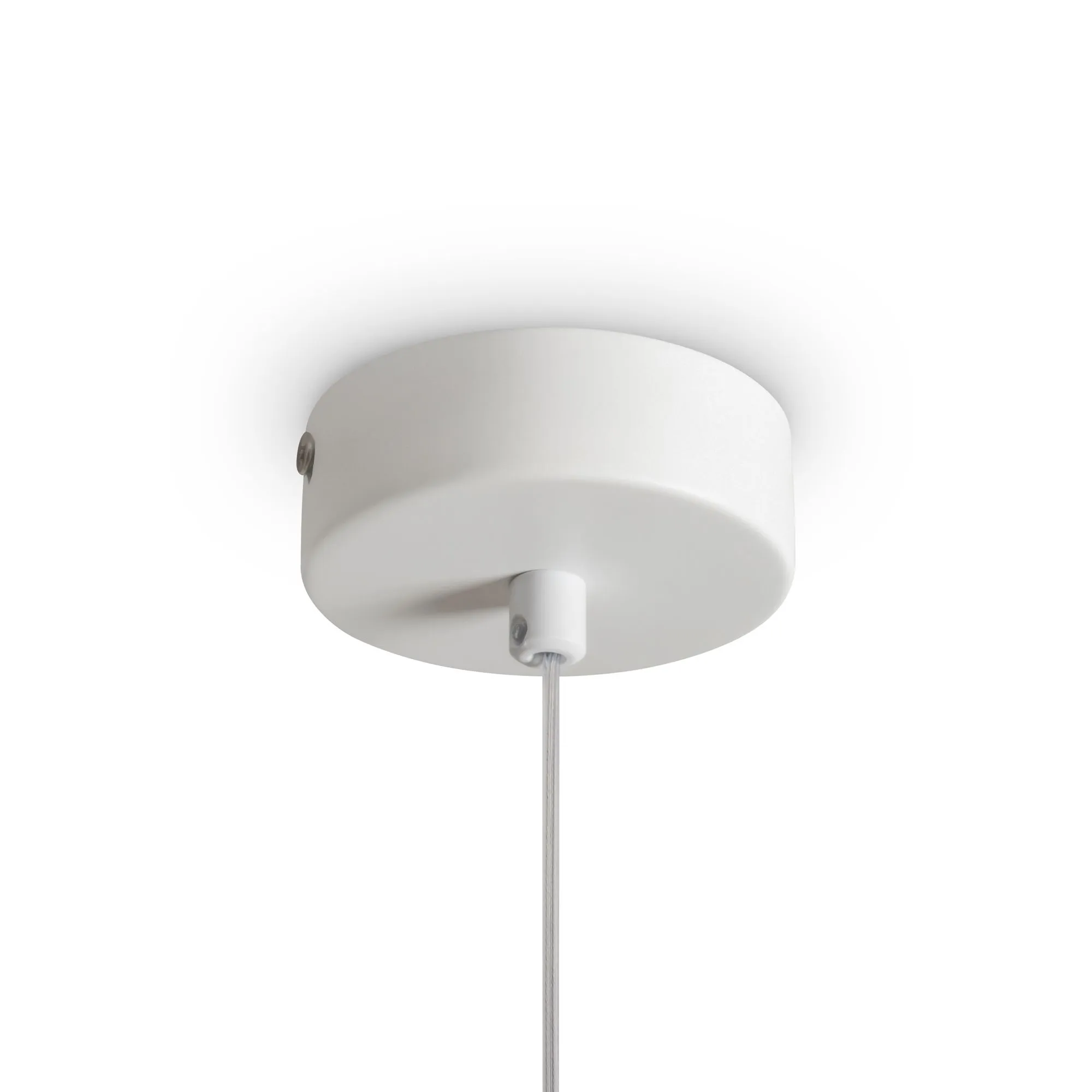 картинка Подвесной светильник Freya FR5592PL-01BS1
