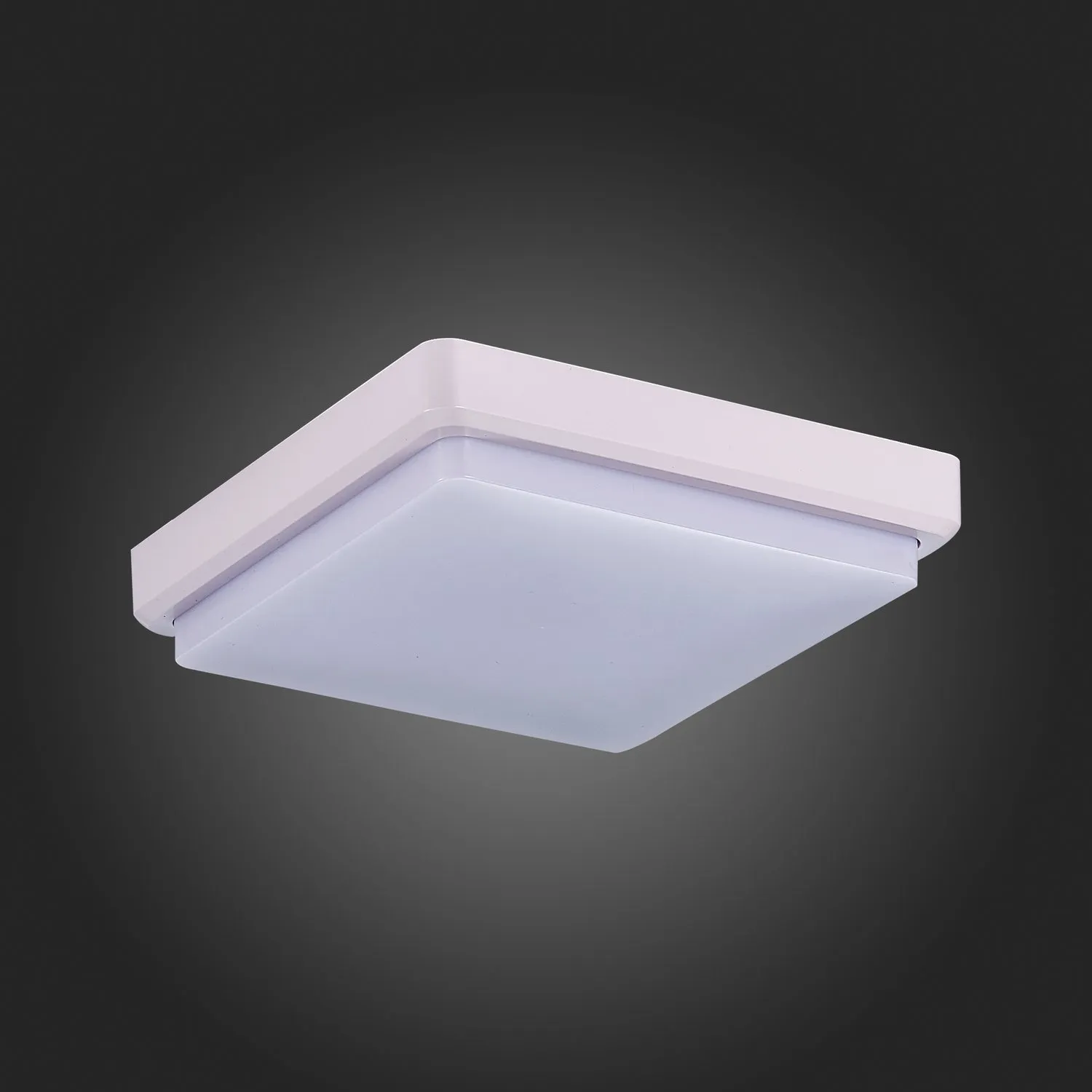 картинка SLE200212-01 Светильник потолочный Белый/Белый LED 1*20W 4000K