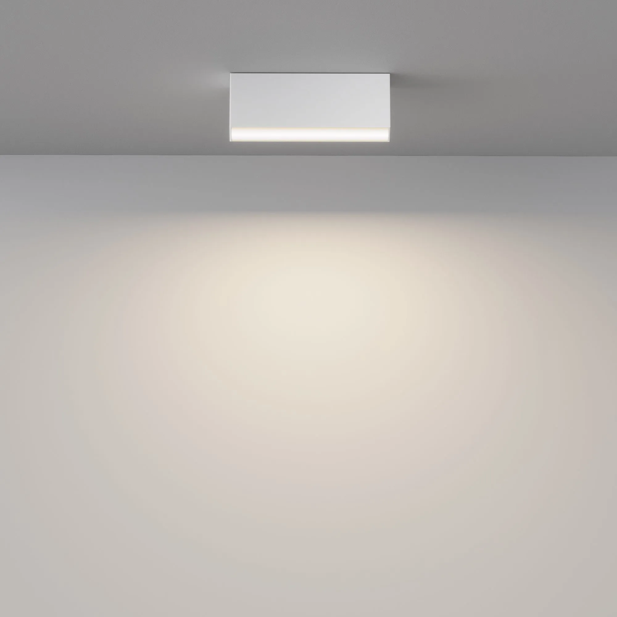 картинка Потолочный светильник Technical C068CL-12W3-6K-W