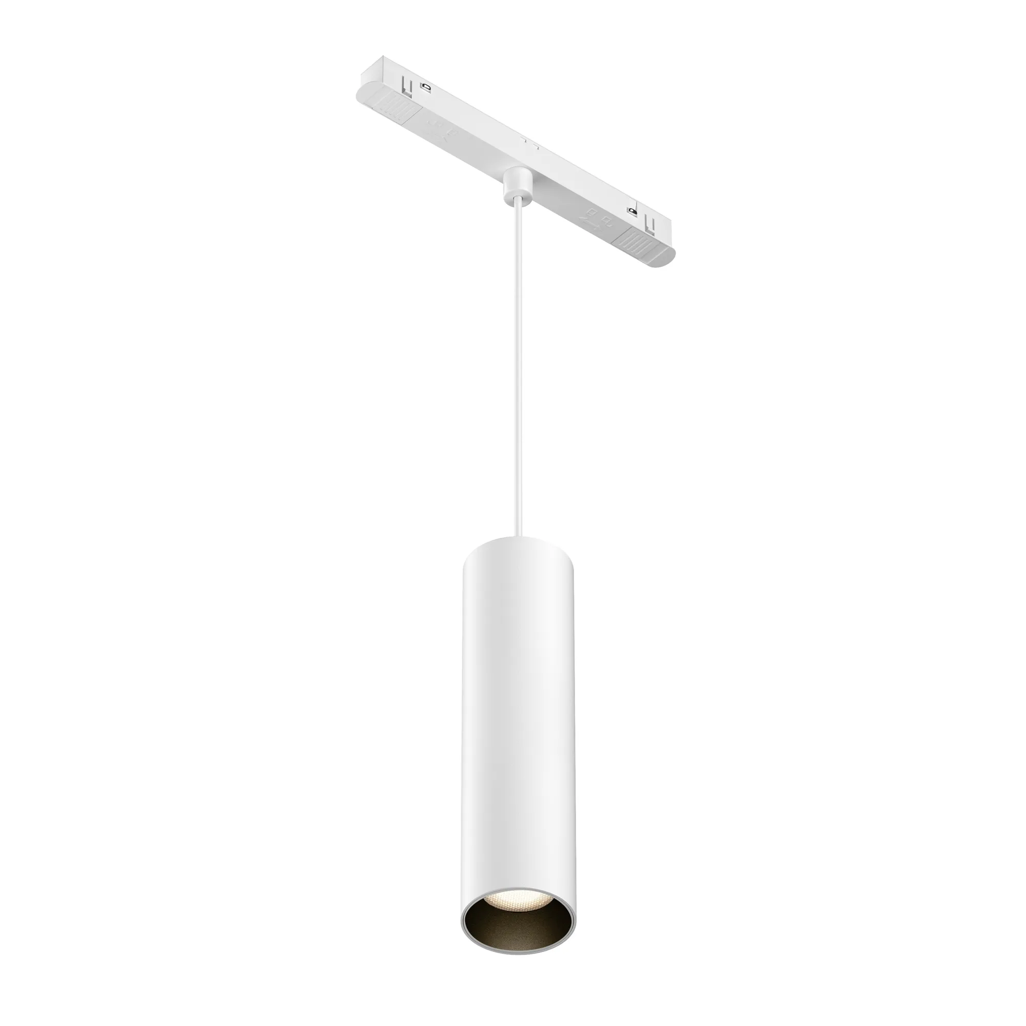 картинка Трековый подвесной светильник Technical TR041-2-12W3K-W