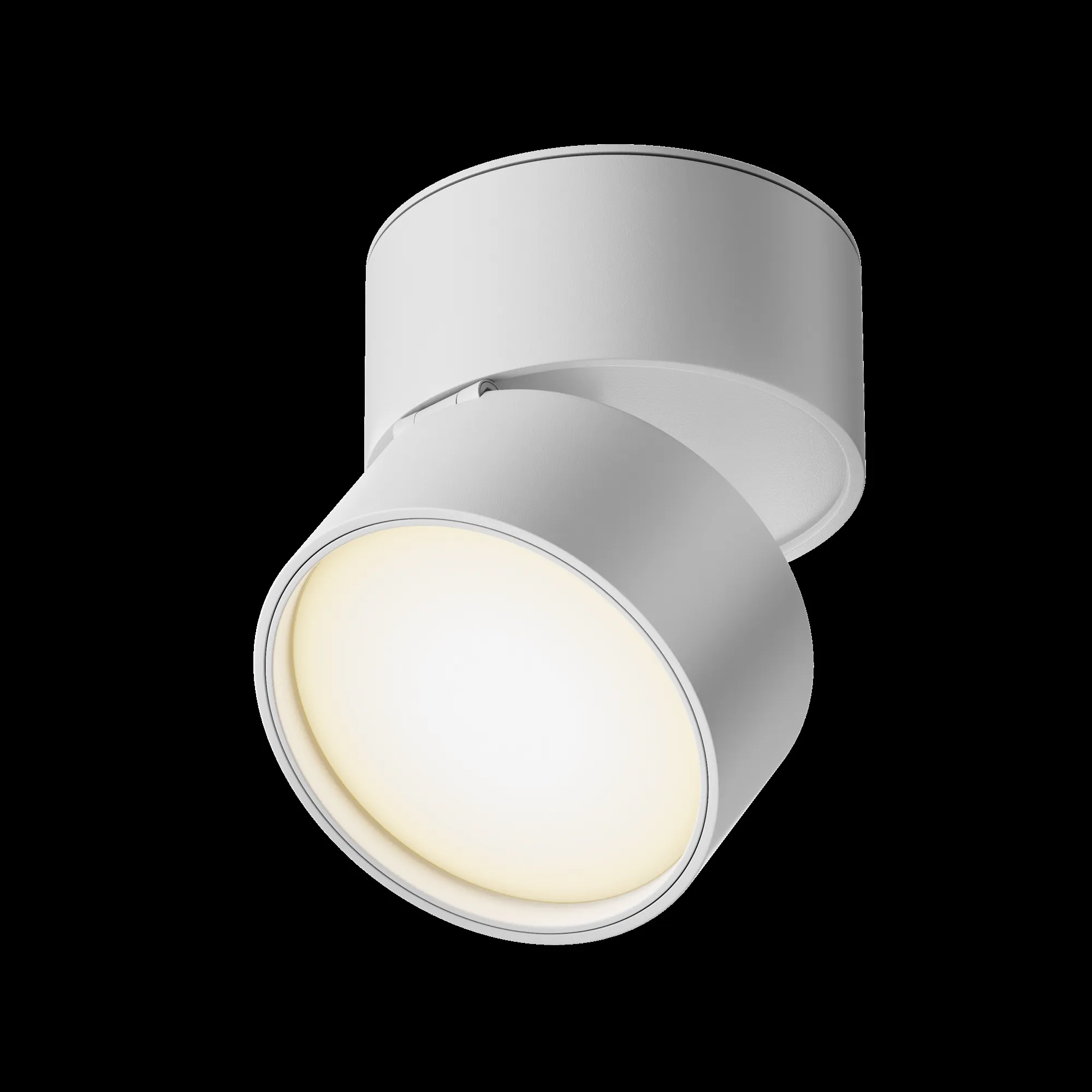 картинка Потолочный светильник Technical C024CL-L12W3K