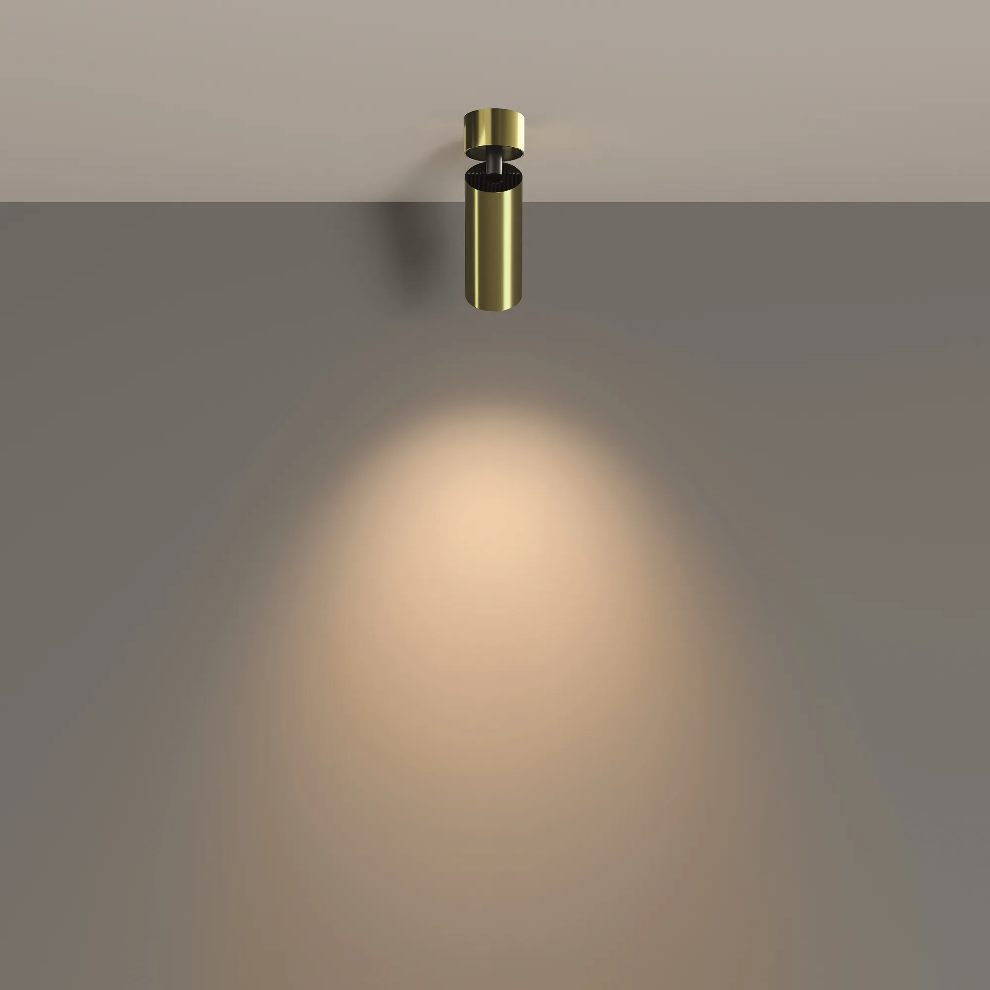 картинка Потолочный светильник Technical C055CL-L12W3K-W-BS
