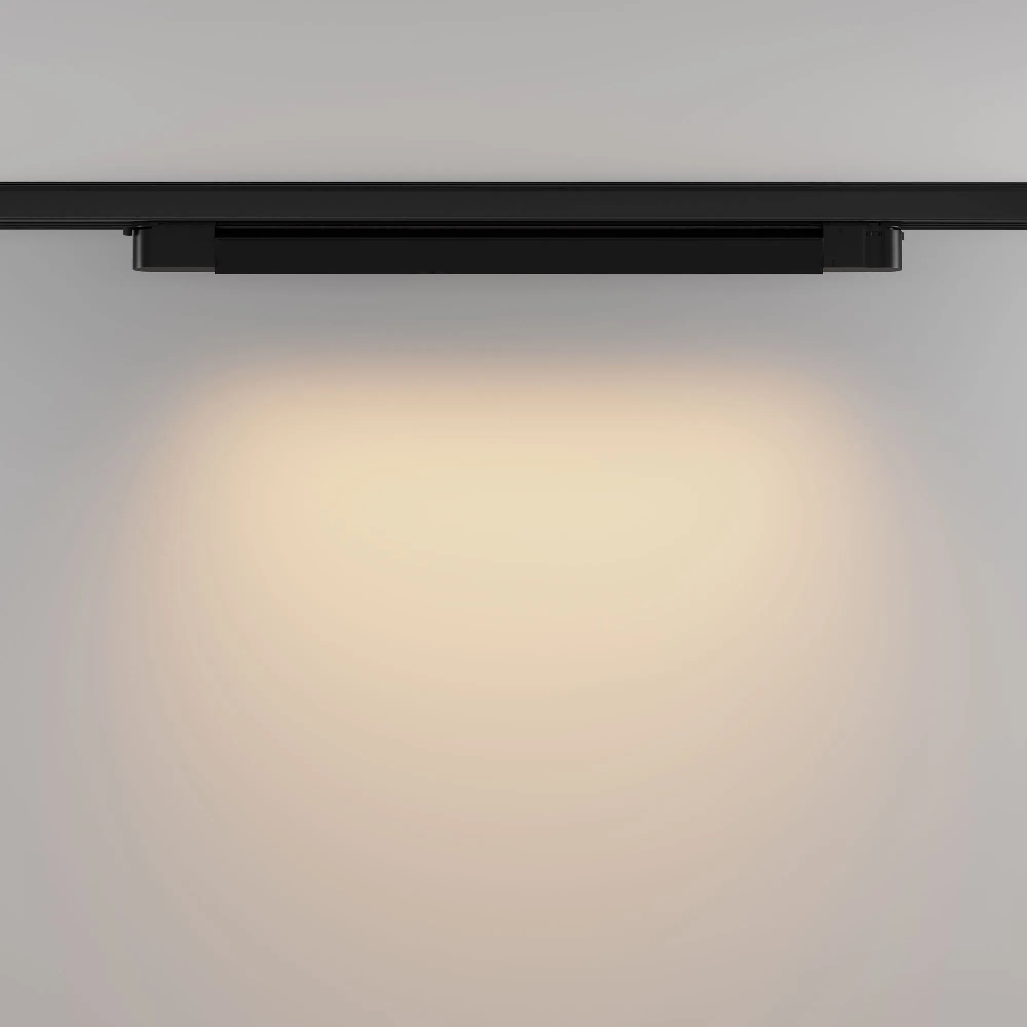 картинка Трековый светильник Technical TR196-3-20W2.7K-B