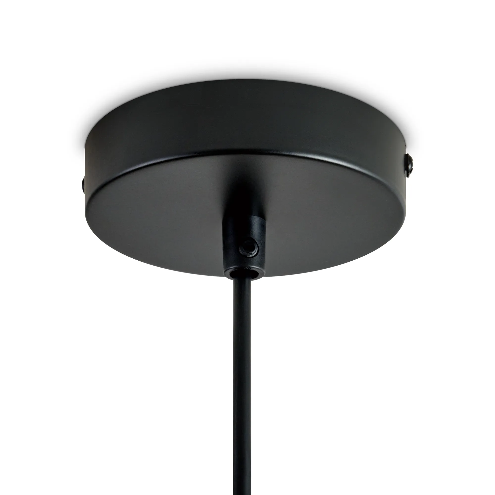 картинка Подвесной светильник Freya FR5595PL-01B1