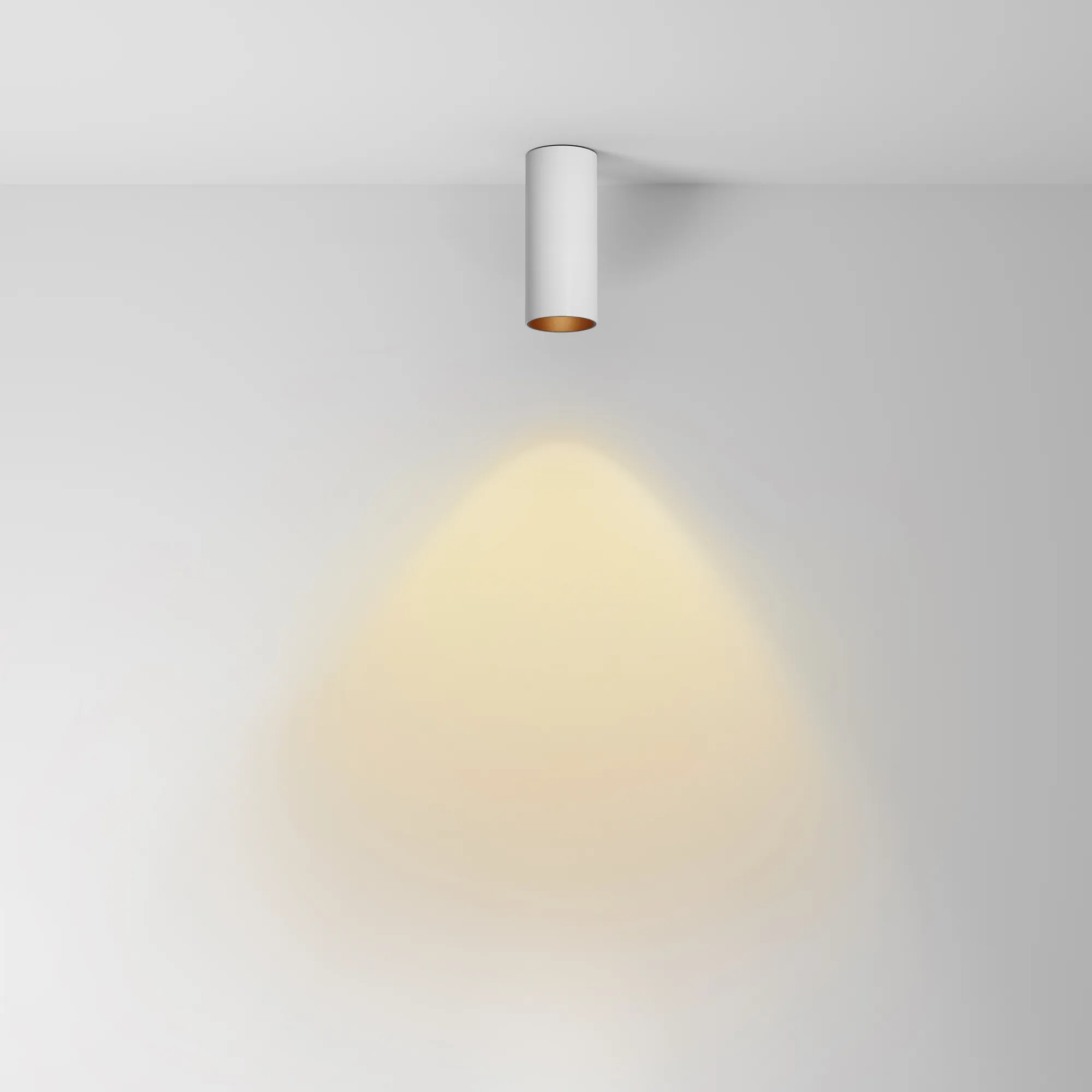 картинка Потолочный светильник Technical C056CL-L12W2.7K-W-W