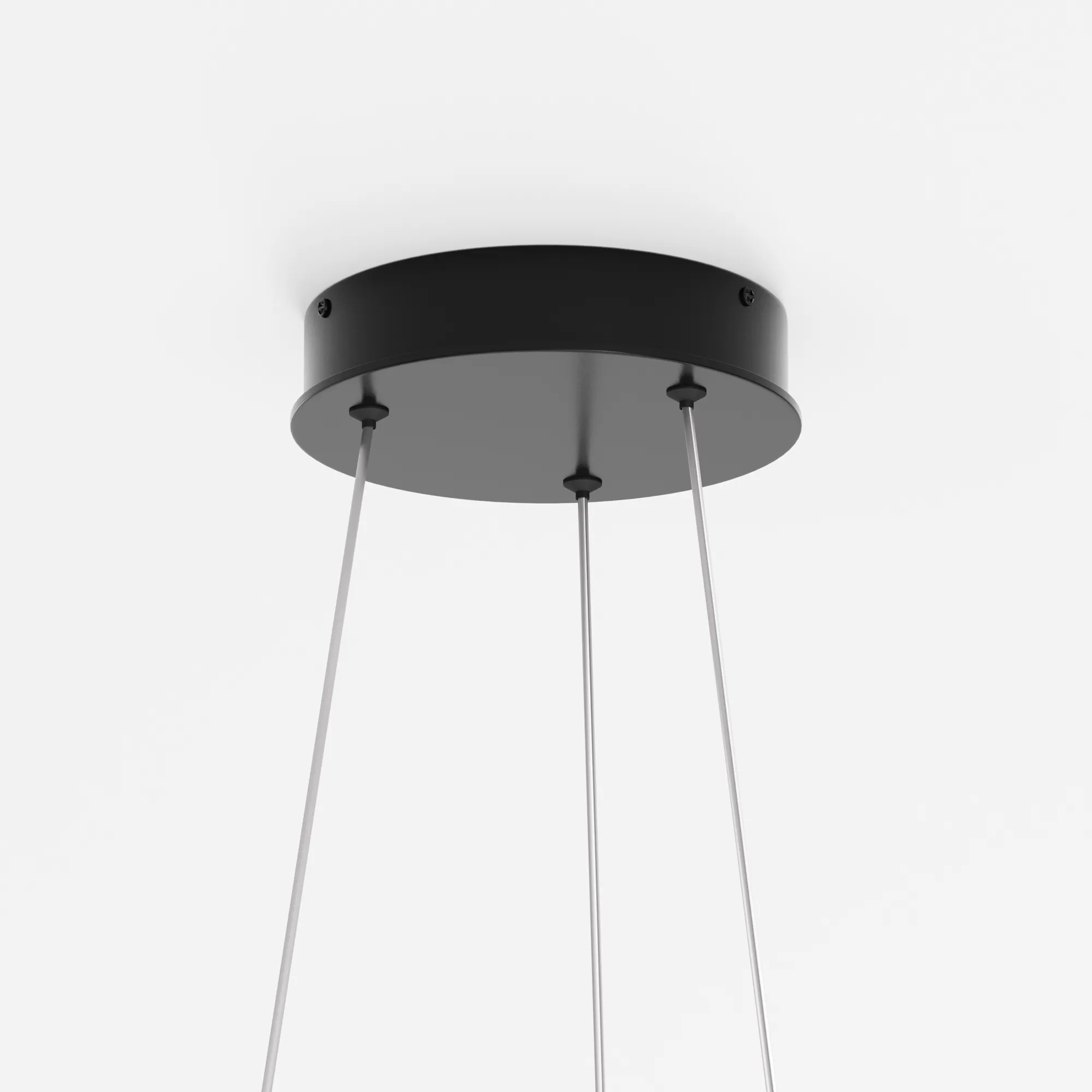 картинка Подвесной светильник Maytoni MOD058PL-L22BK