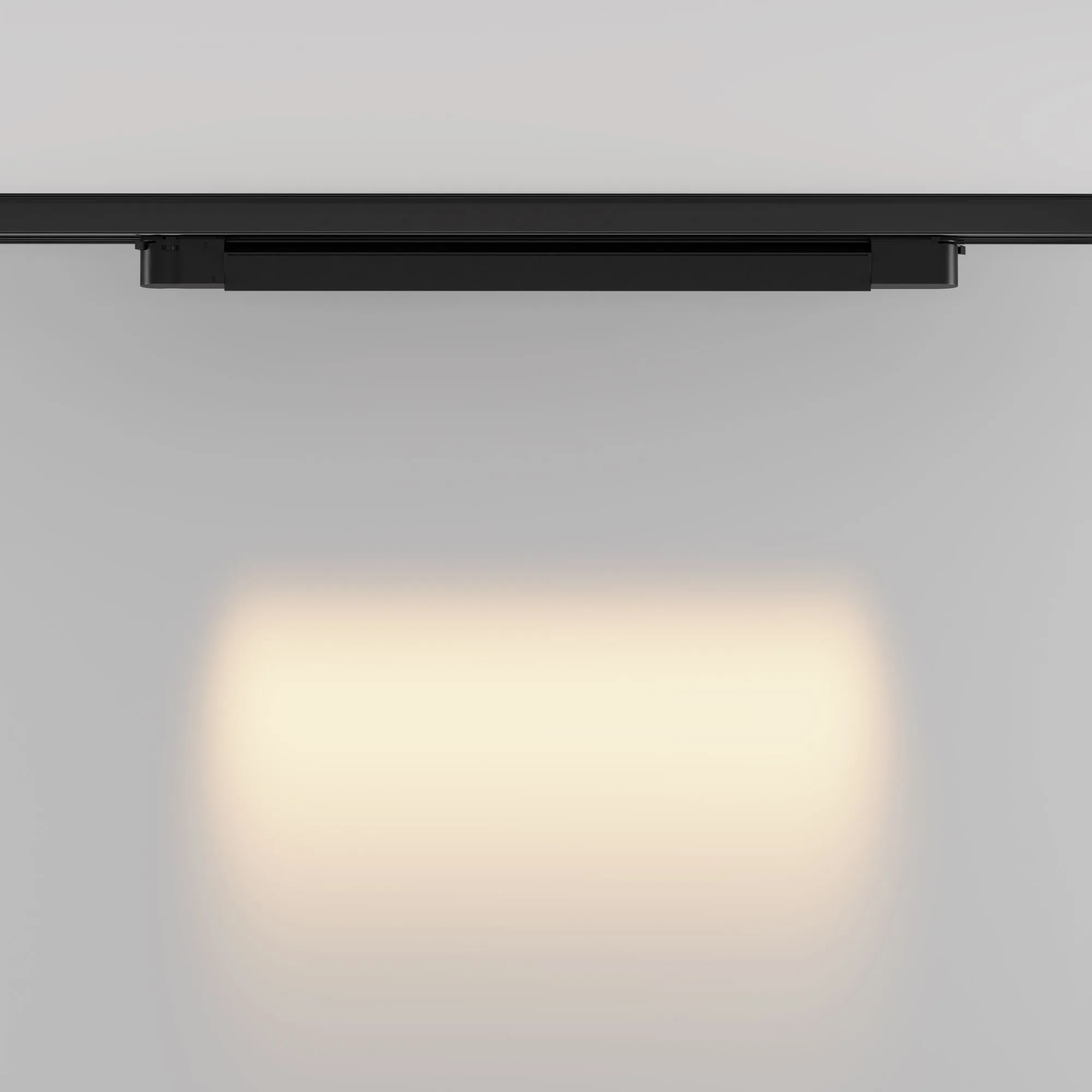 картинка Трековый светильник Technical TR195-3-20W2.7K-M-B