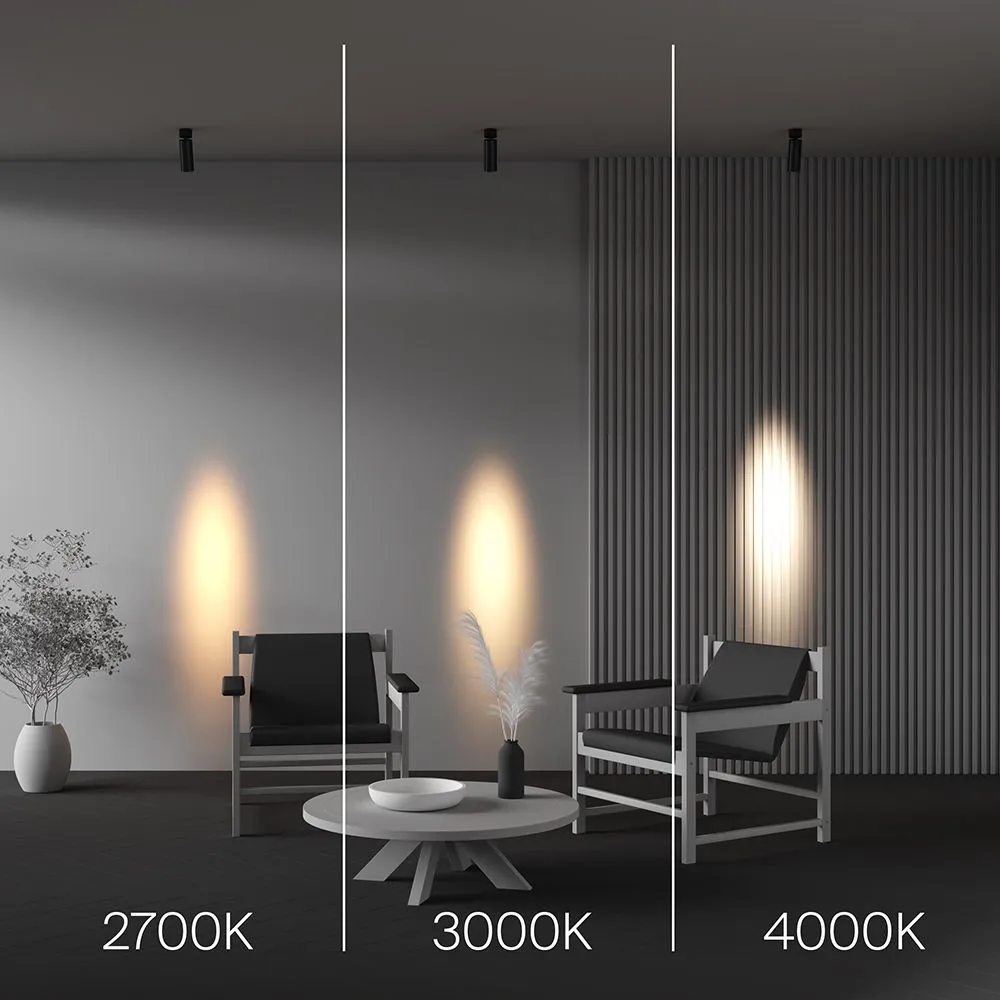 картинка Потолочный светильник Technical C055CL-L12W2.7K-SS-B