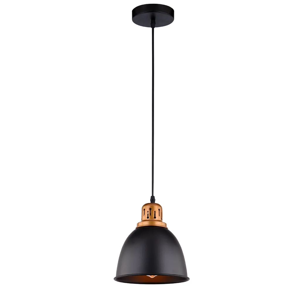 картинка Подвесной светильник Arte Lamp EURICA A4245SP-1BK