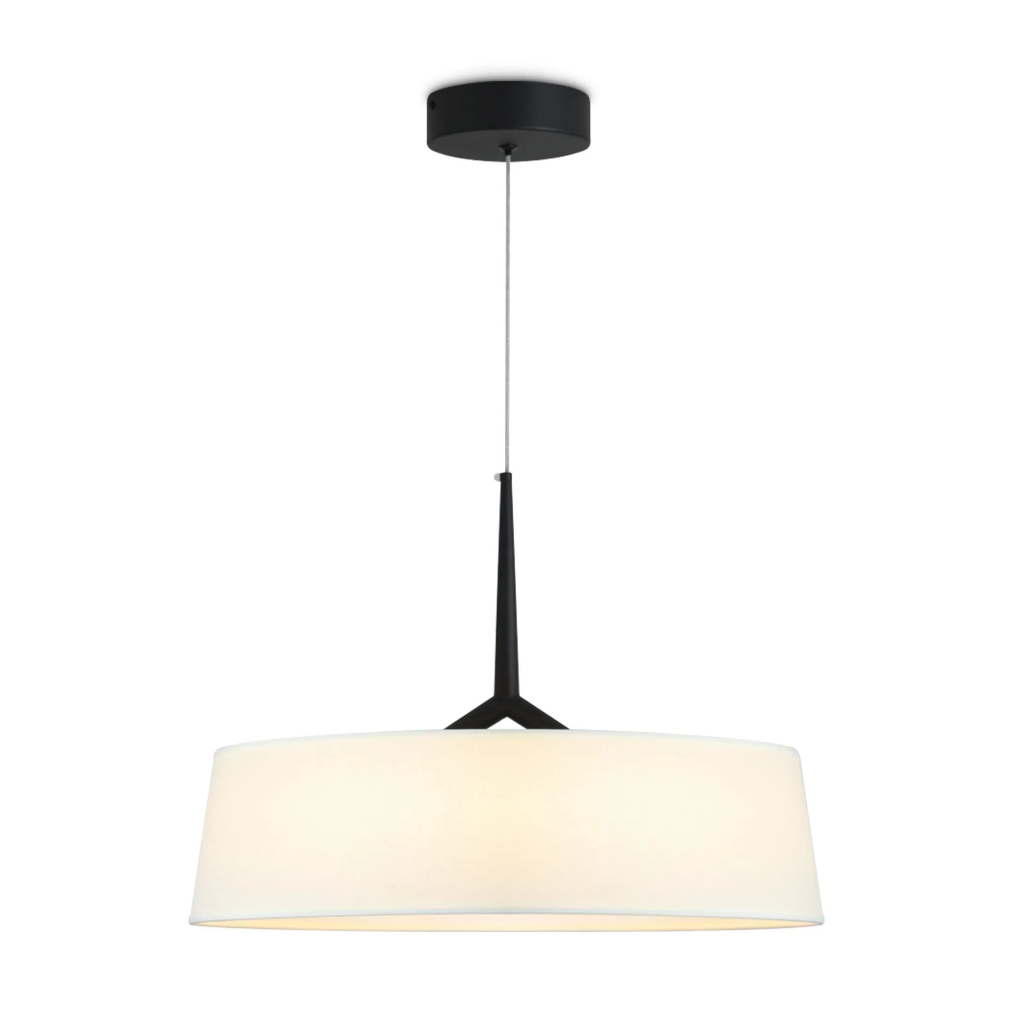 картинка Подвесной светильник Freya FR6132PL-L15B